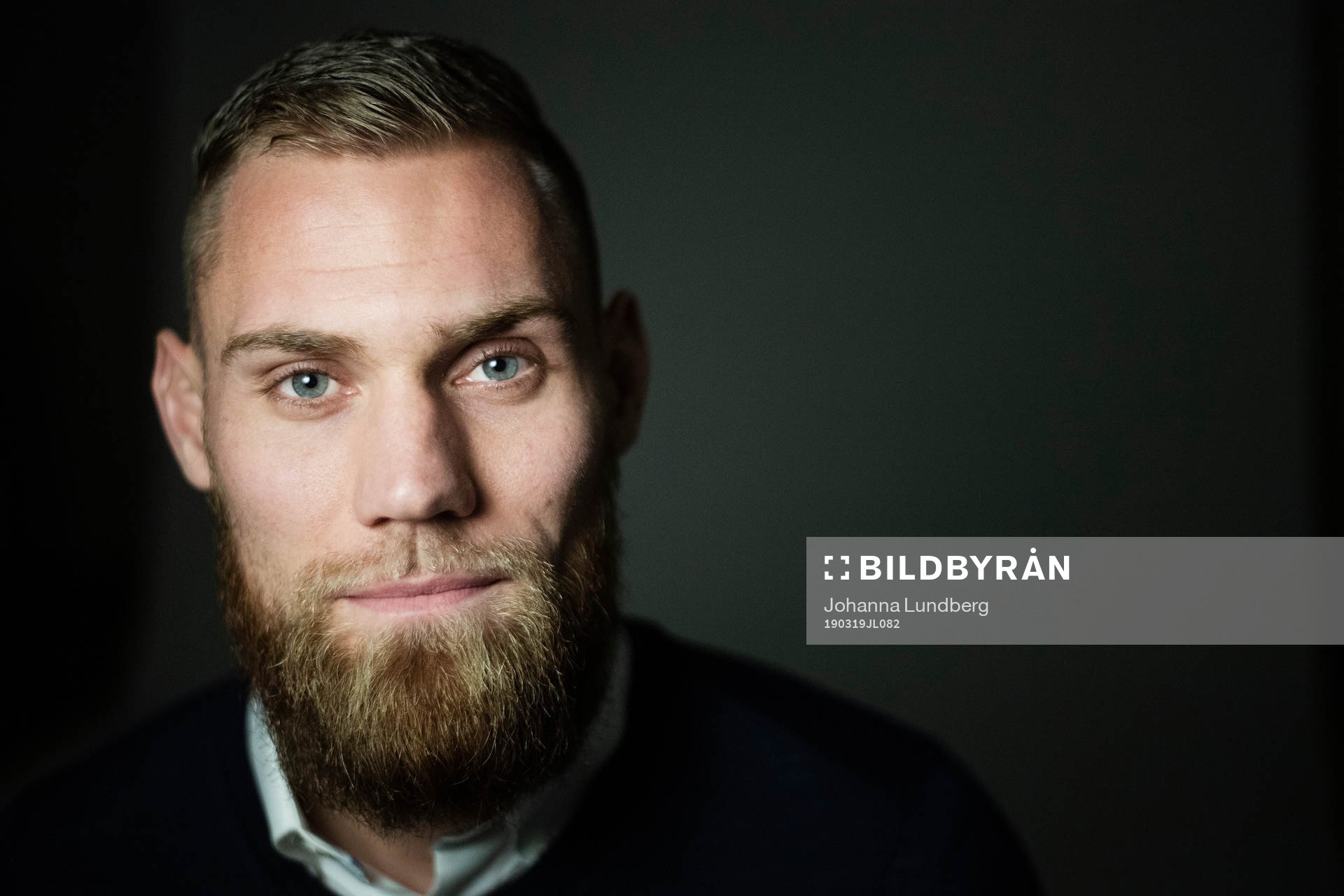 David Fällman, Hammarby