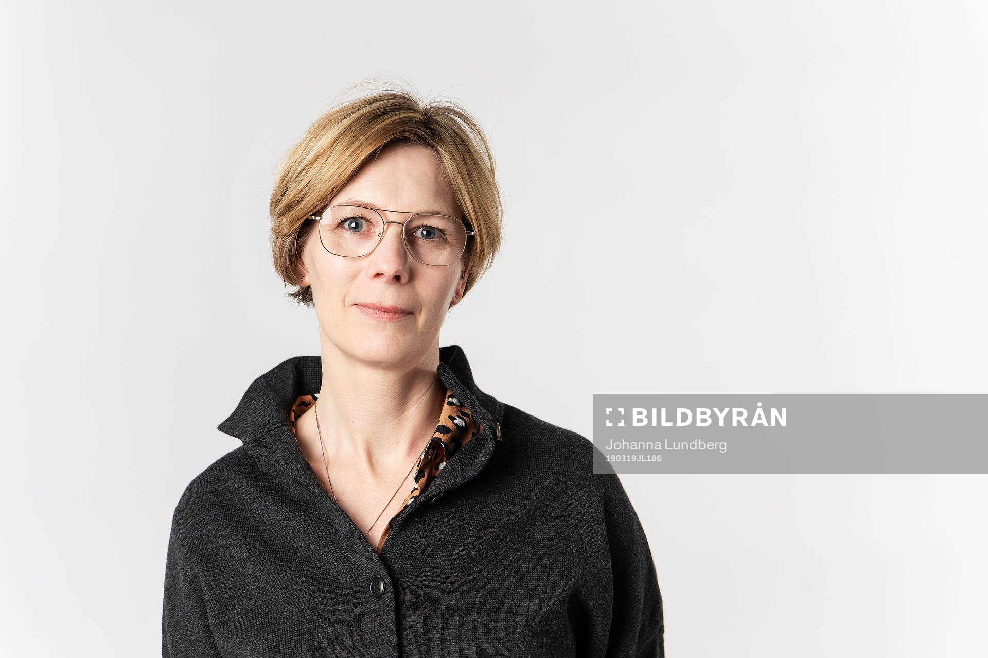 Lena Engström, SEF