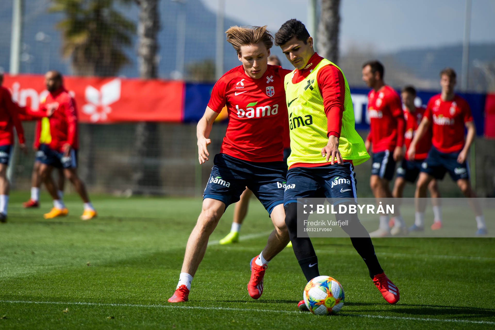Jonas Svensson and Tarik Elyounoussi of Norway