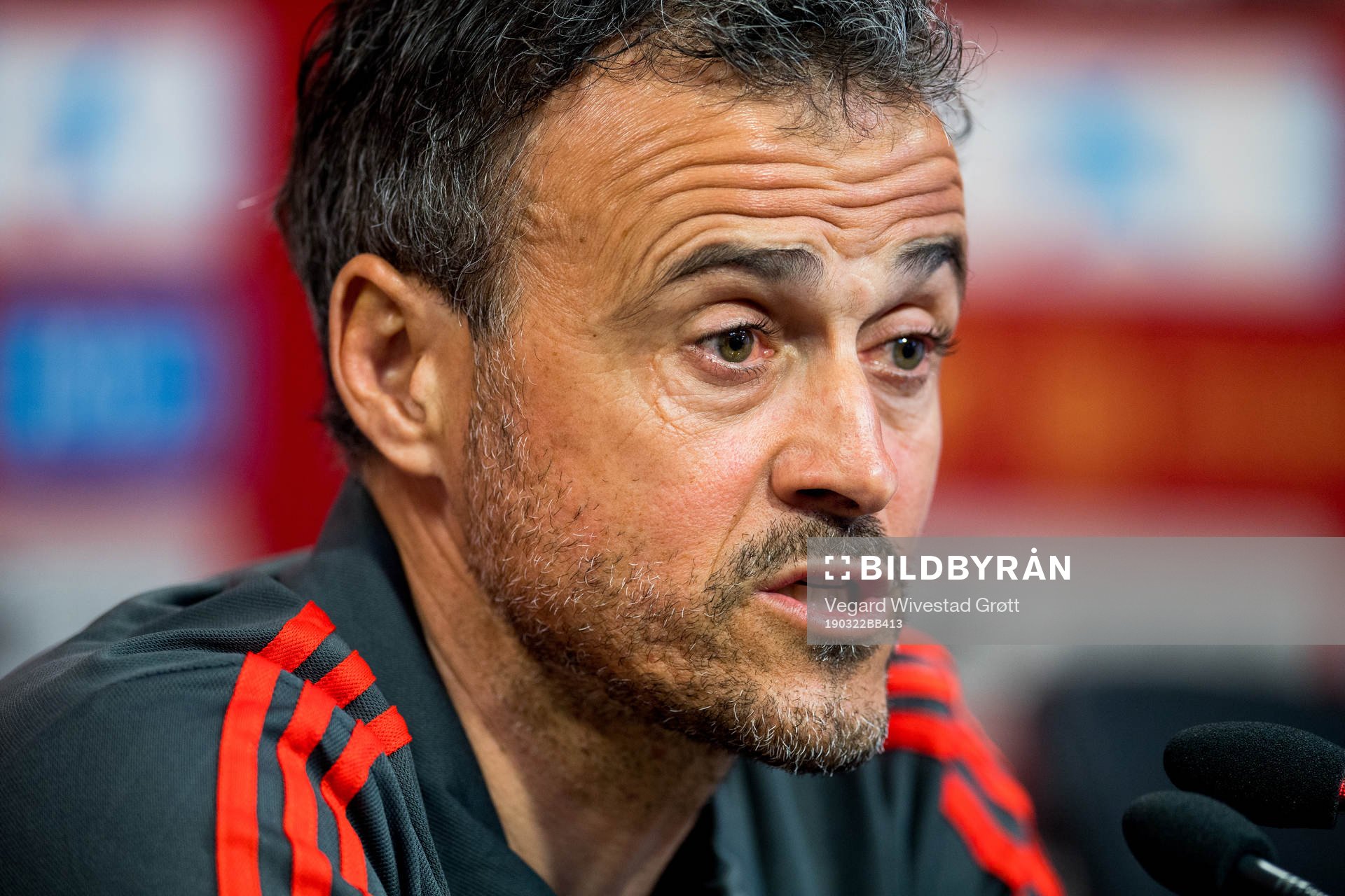 Luis Enrique, head coach of Spain