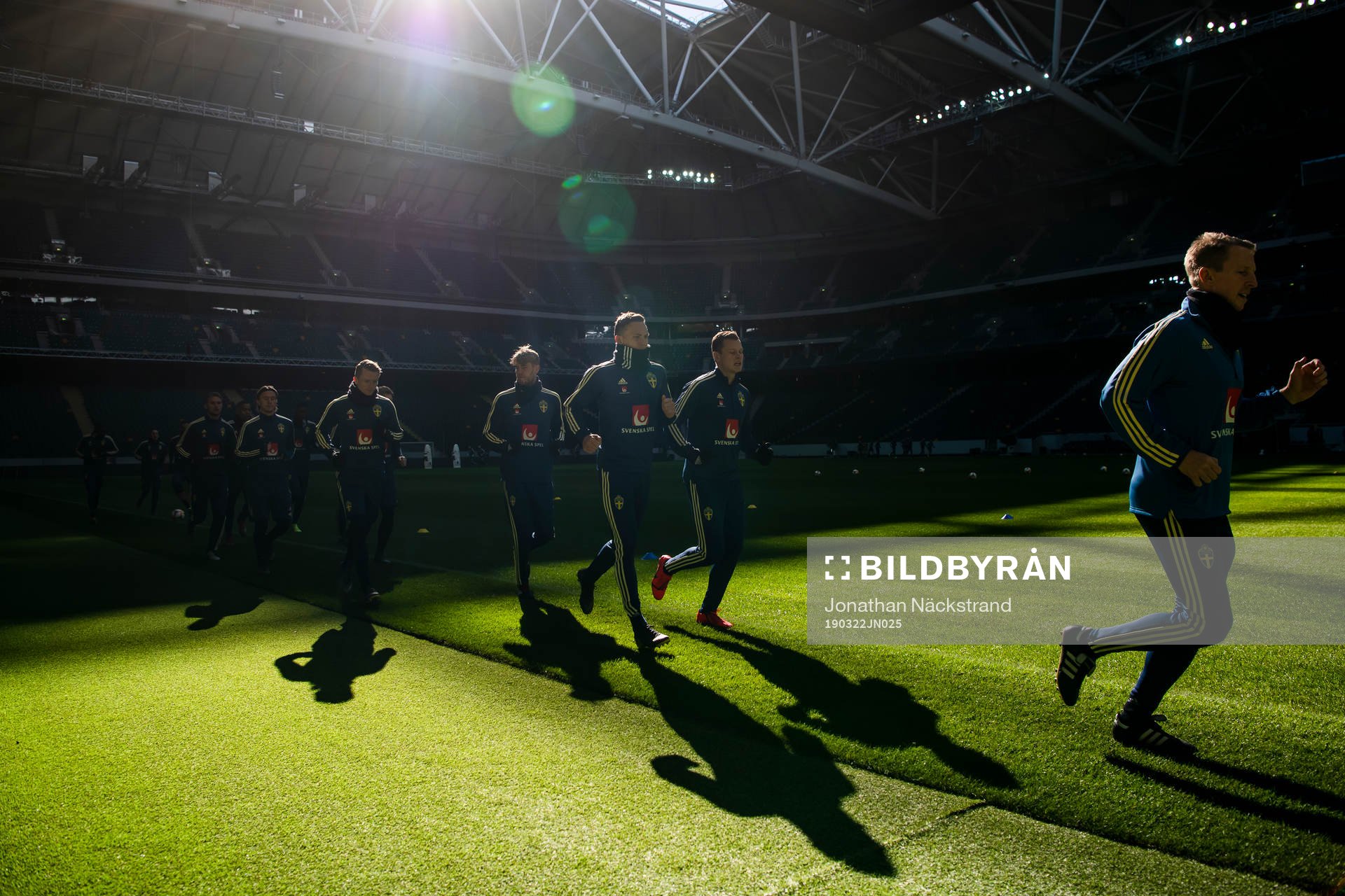 Sweden's national football team players