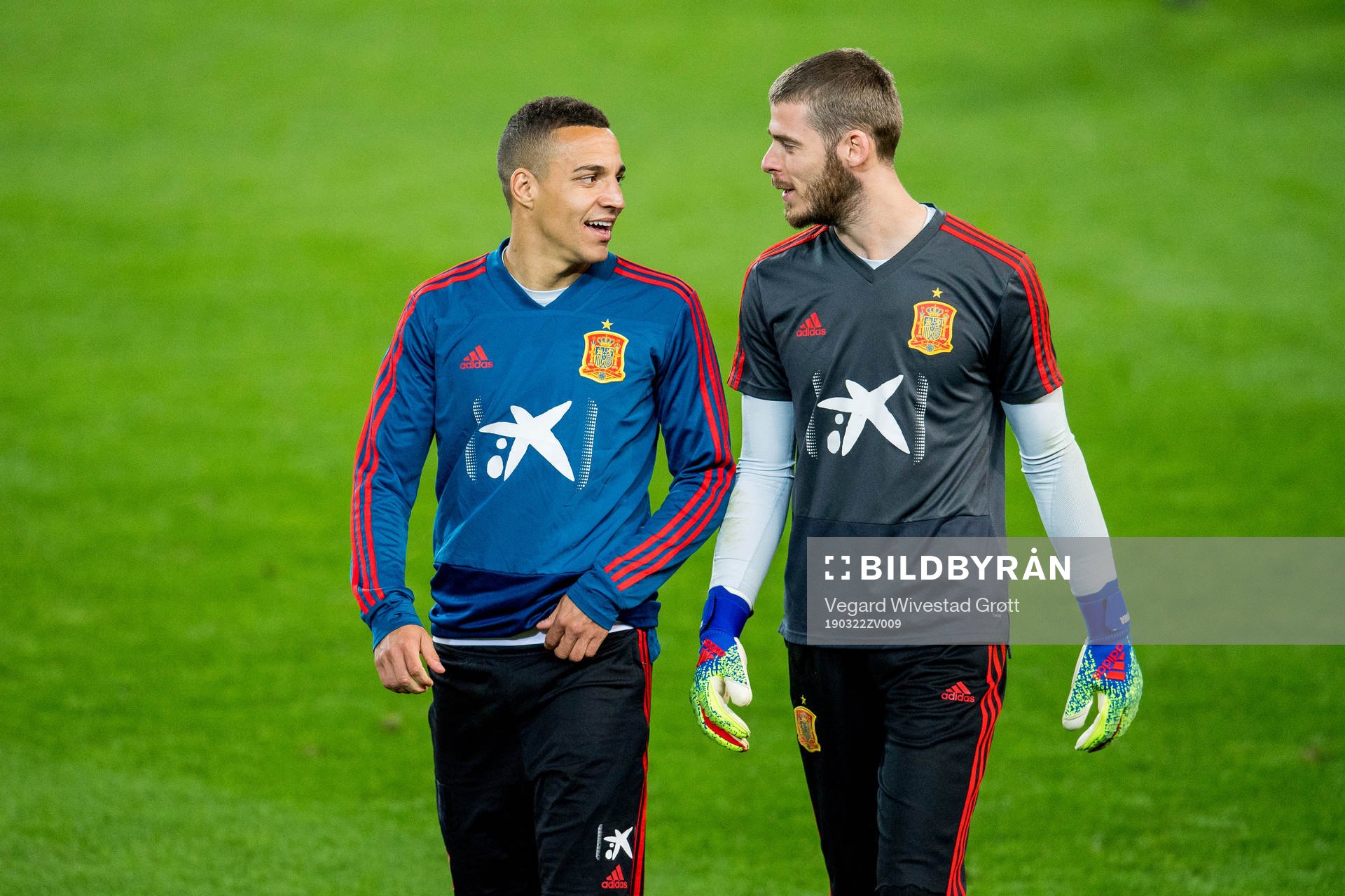 Rodrigo Moreno Machado and goalkeeper David de Gea of Spain during a training session on March 22, 2019 in Valencia.