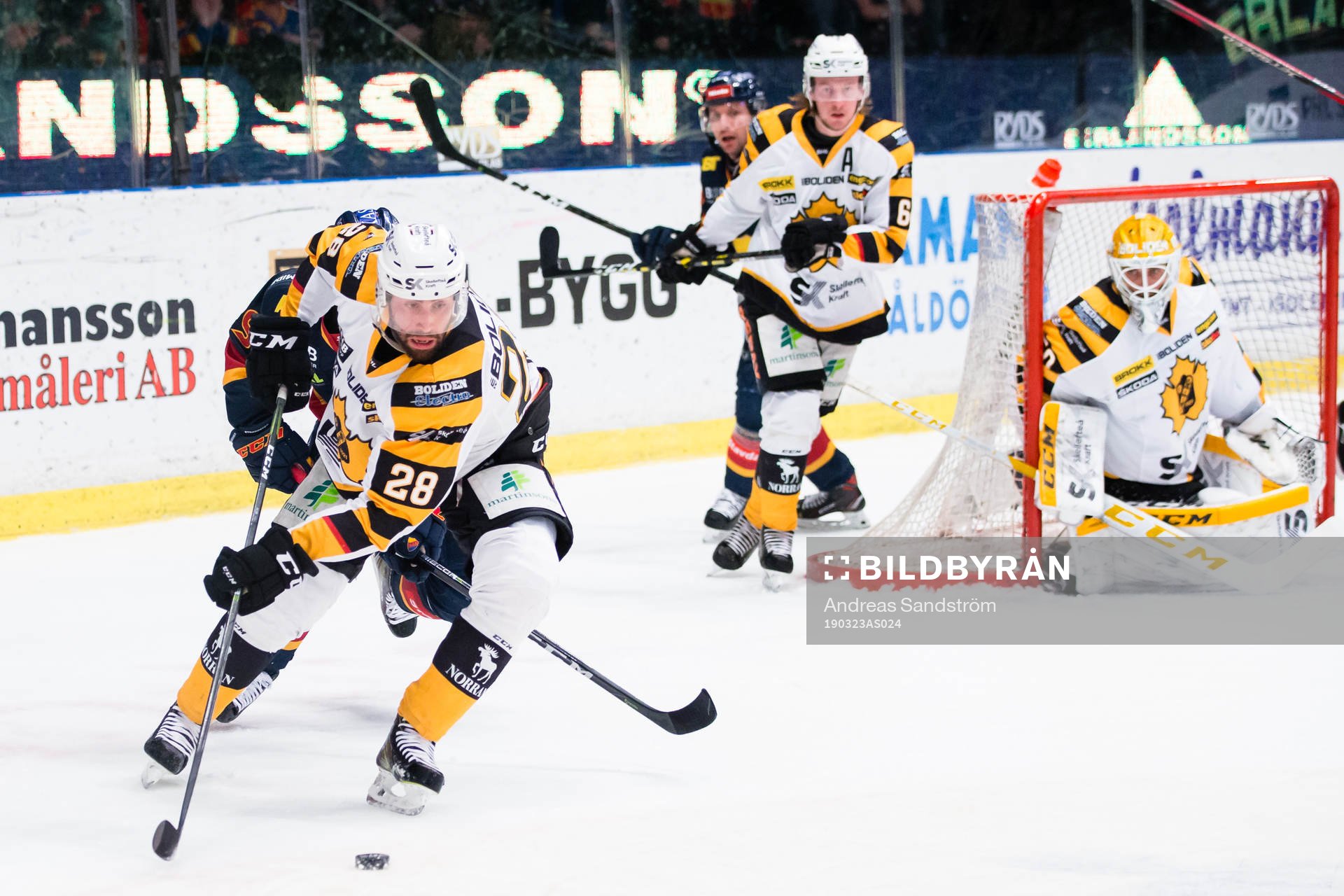 Skellefteås Johan Alm