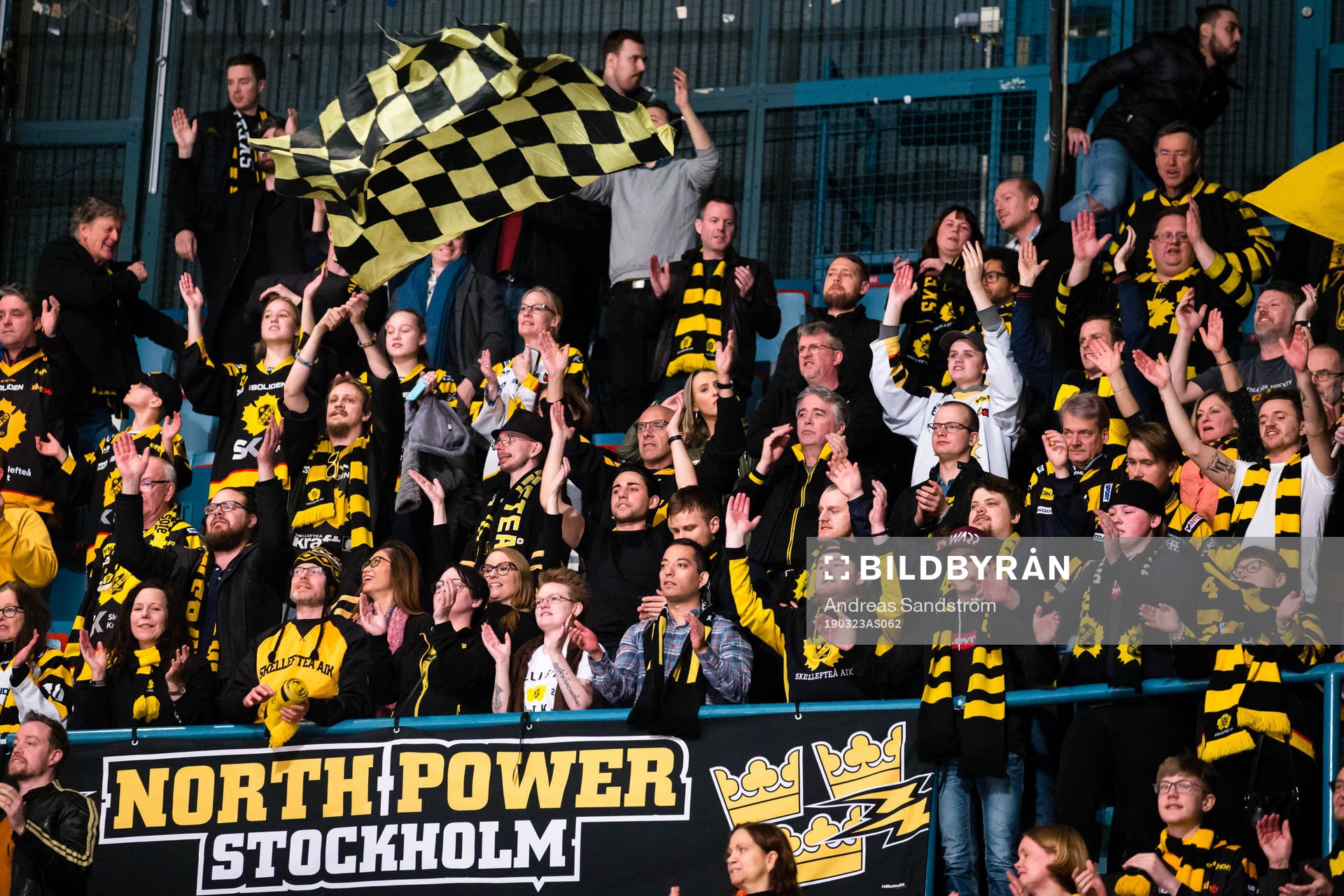 Skellefteås supportrar jublar