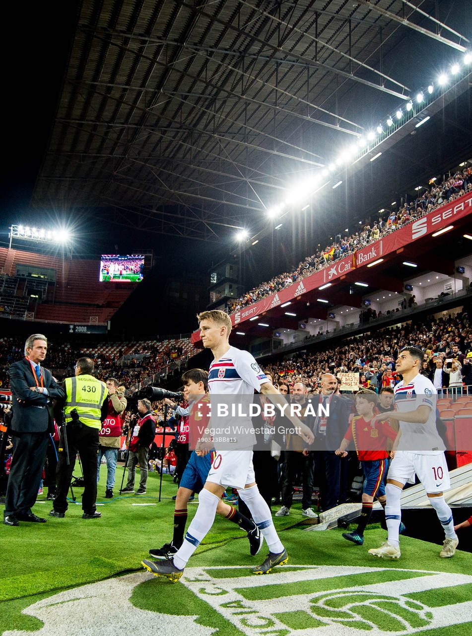 Martin Ødegaard and Tarik Elyounoussi of Norway