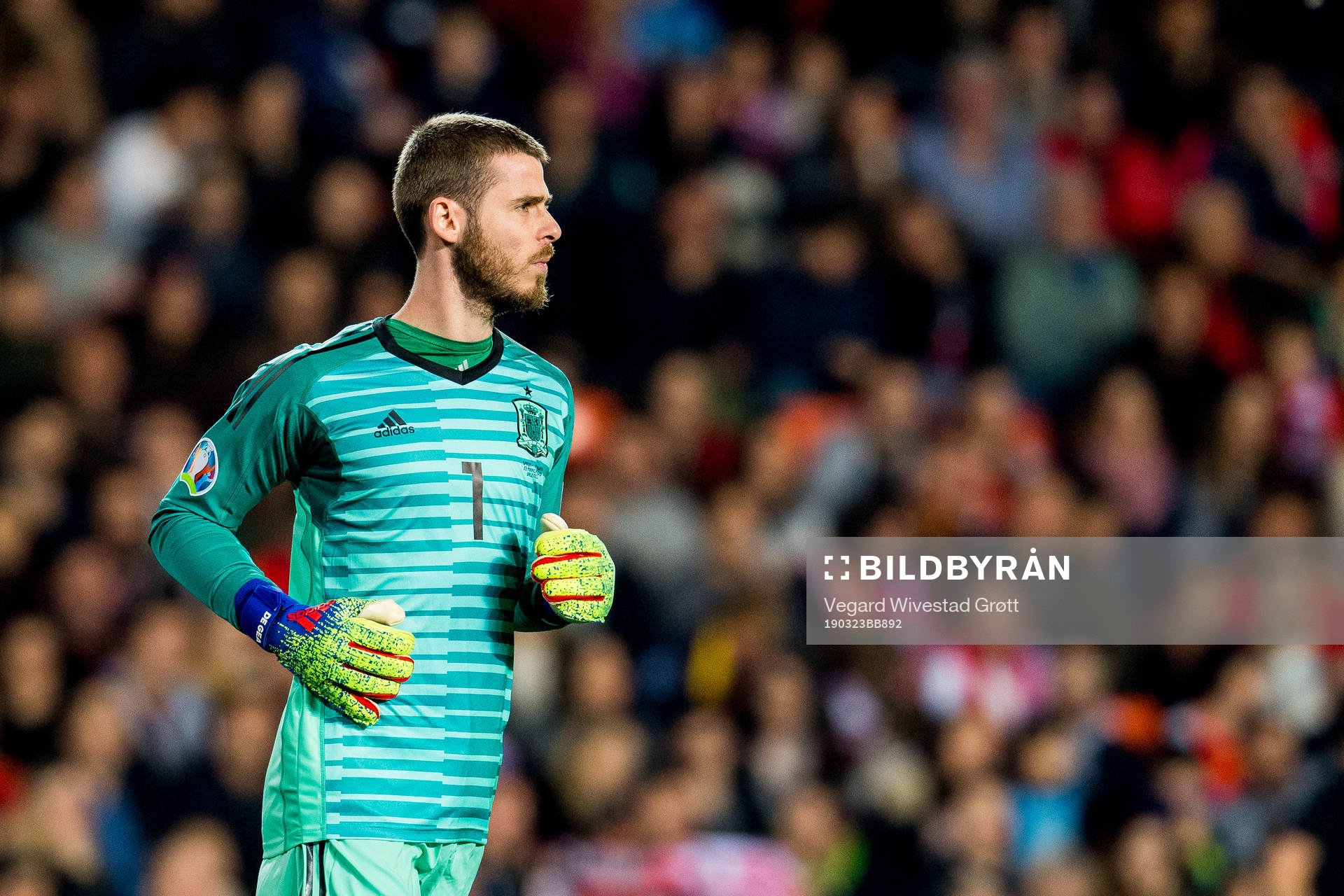 Goalkeeper David de Gea of Spain