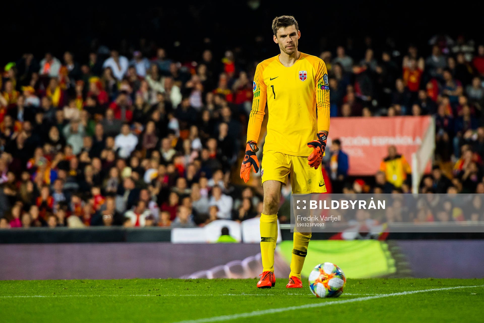 Goalkeeper Rune Almenning Jarstein of Norway