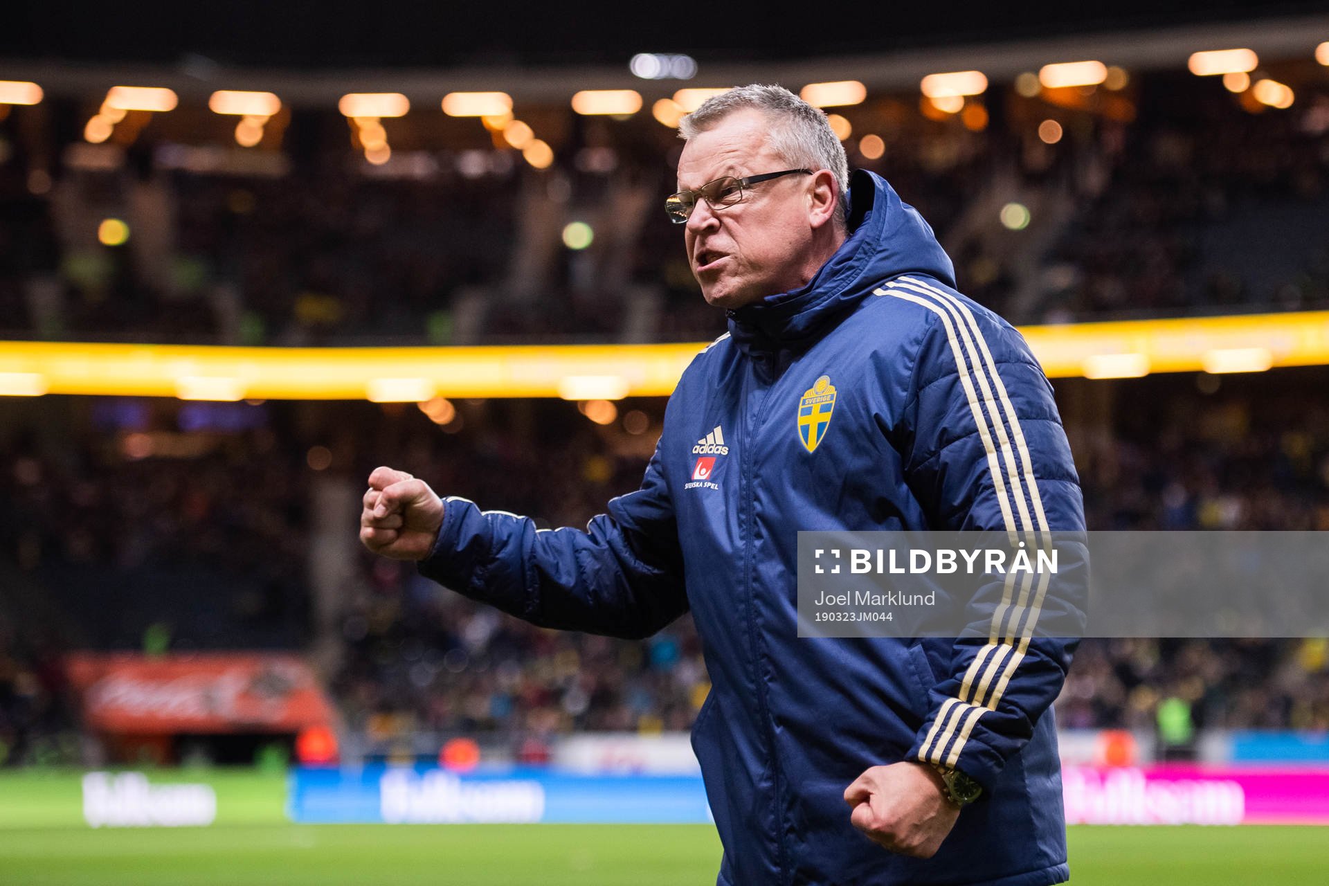 Head coach Janne Andersson of Sweden celebrates