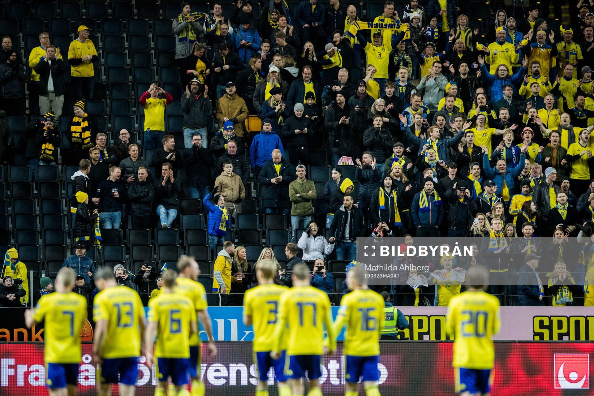 Fan of Sweden celebrates