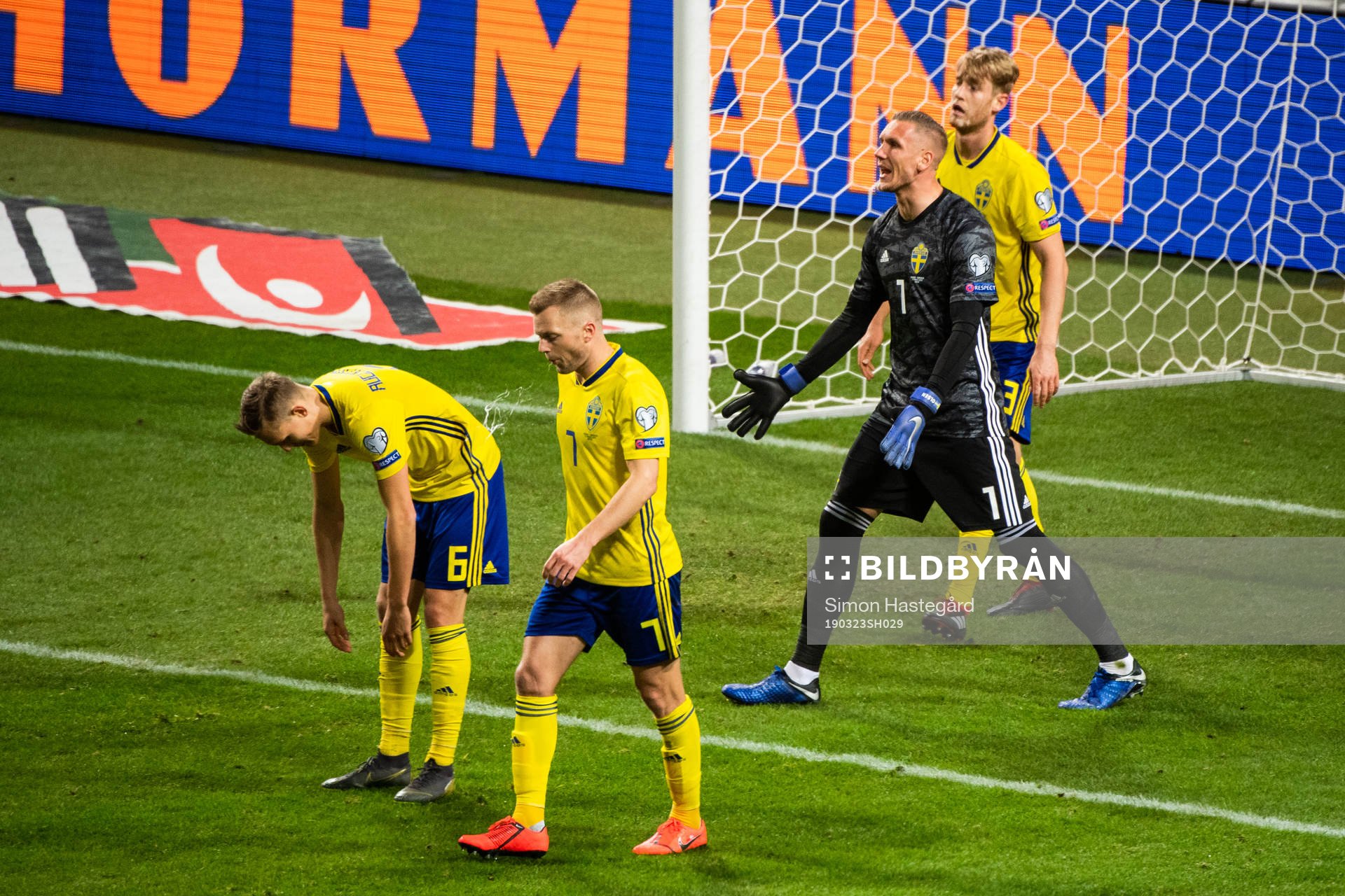Ludwig Augustinsson, Sebastian Larsson, goalkeeper Robin