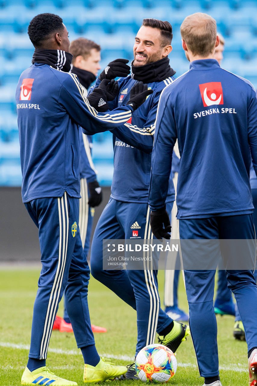 Sotirios Papagiannopoulos of the Swedish national football