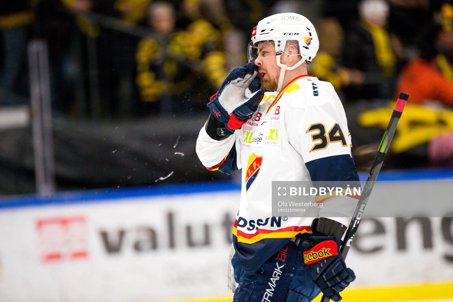 Djurgårdens Daniel Brodin