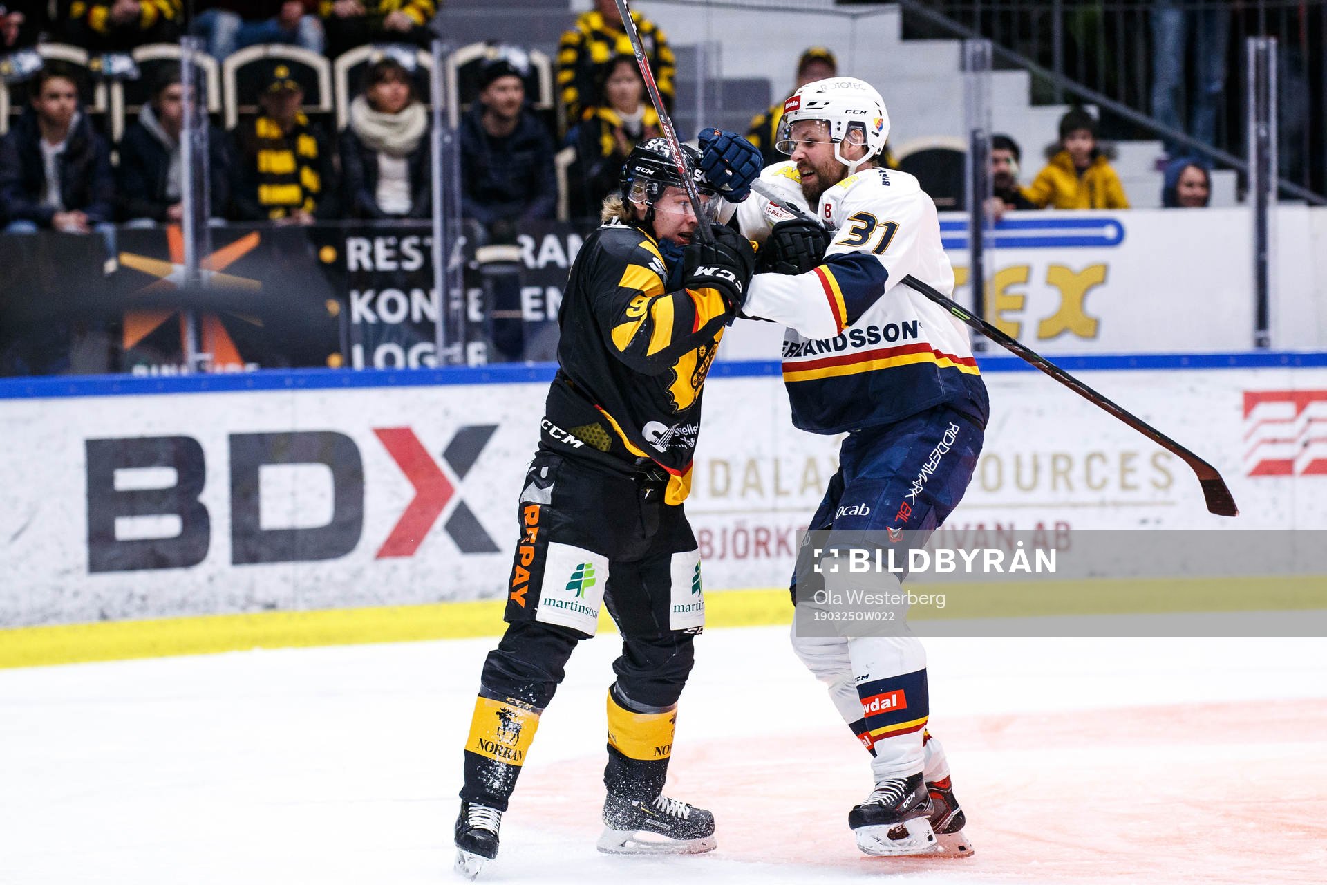 Skellefteås Tim Söderlund och Djurgårdens Dick Axelsson