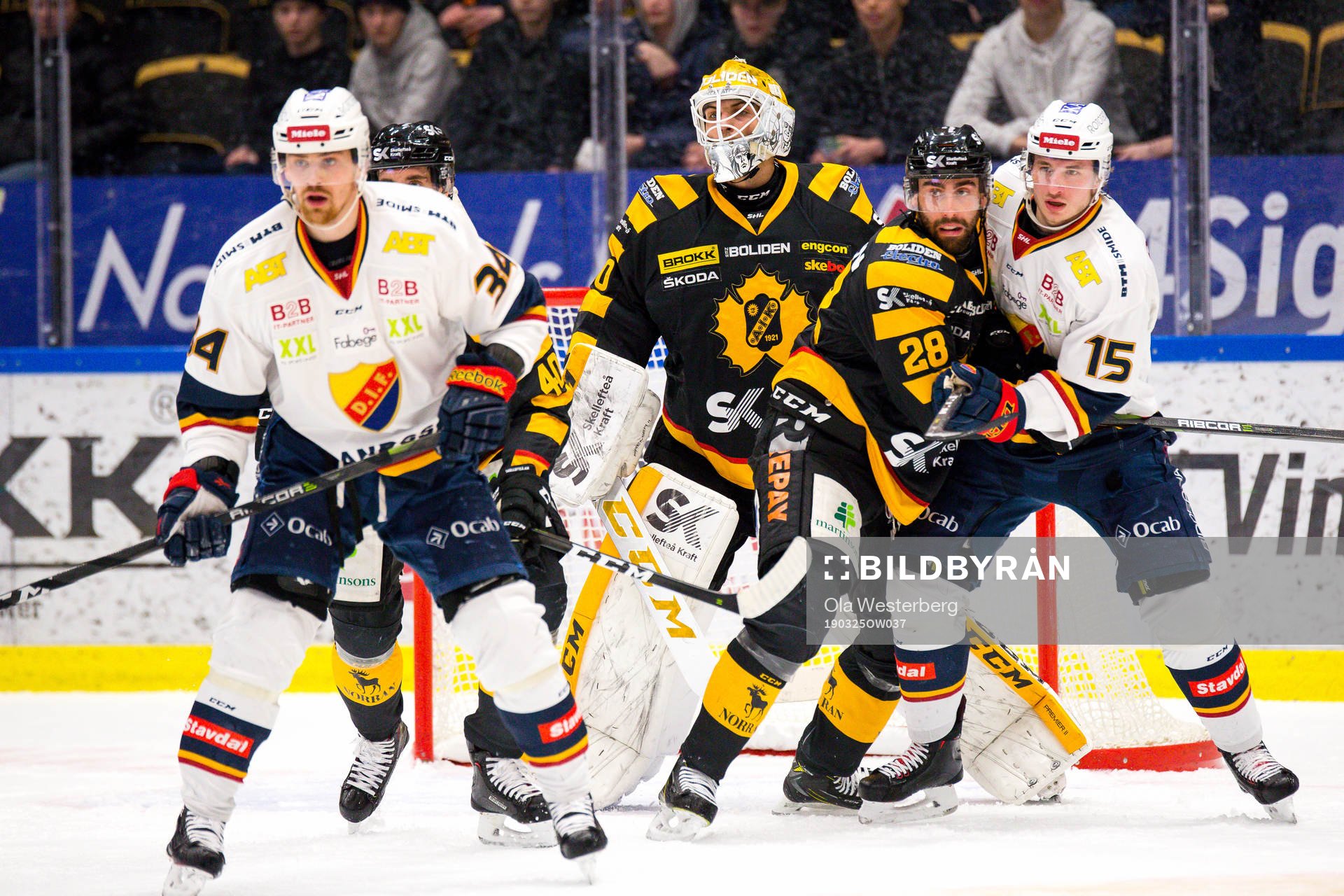 Skellefteås Johan Alm