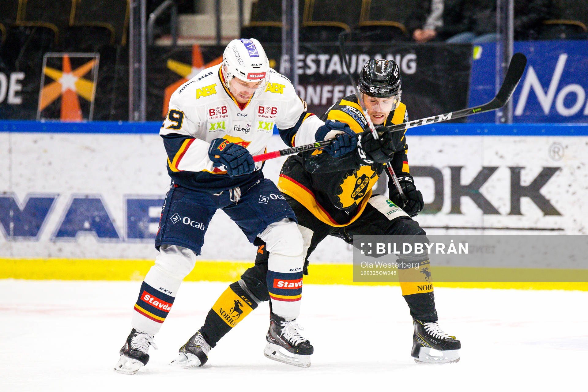 Skellefteås Filip Berglund