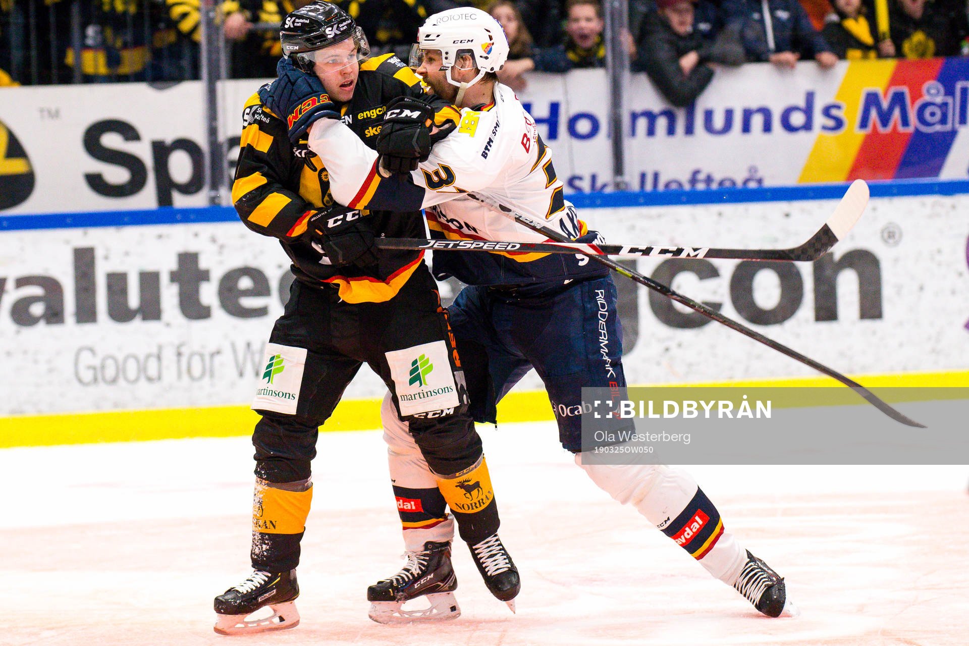Skellefteås Tim Söderlund