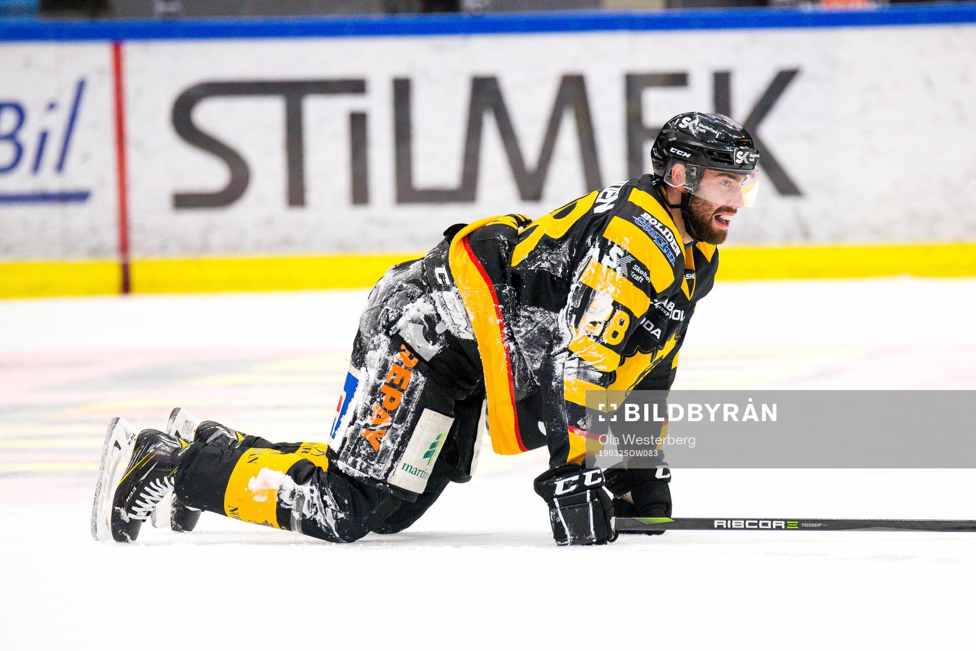 Skellefteås Johan Alm