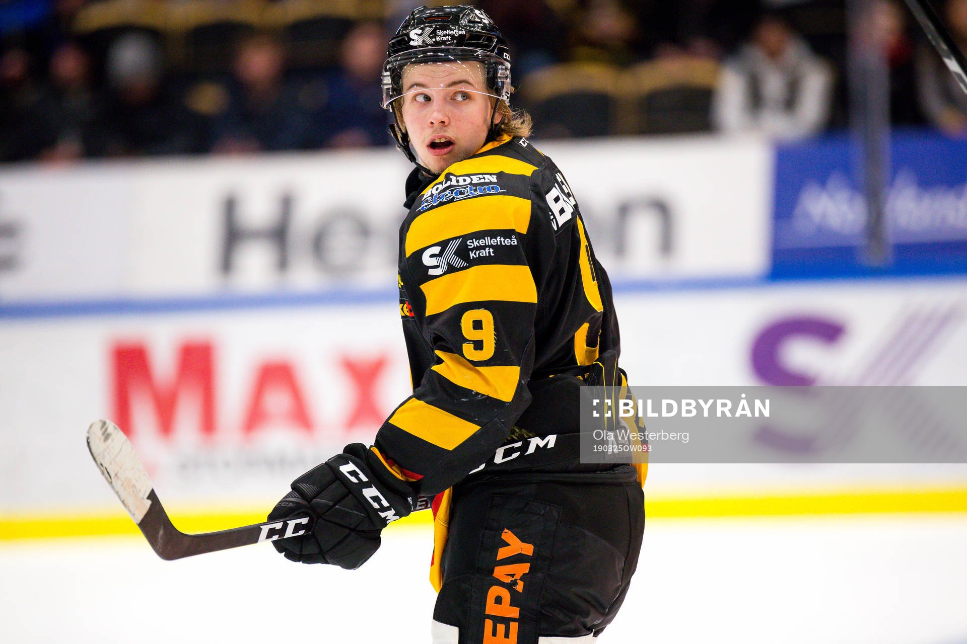 Skellefteås Tim Söderlund
