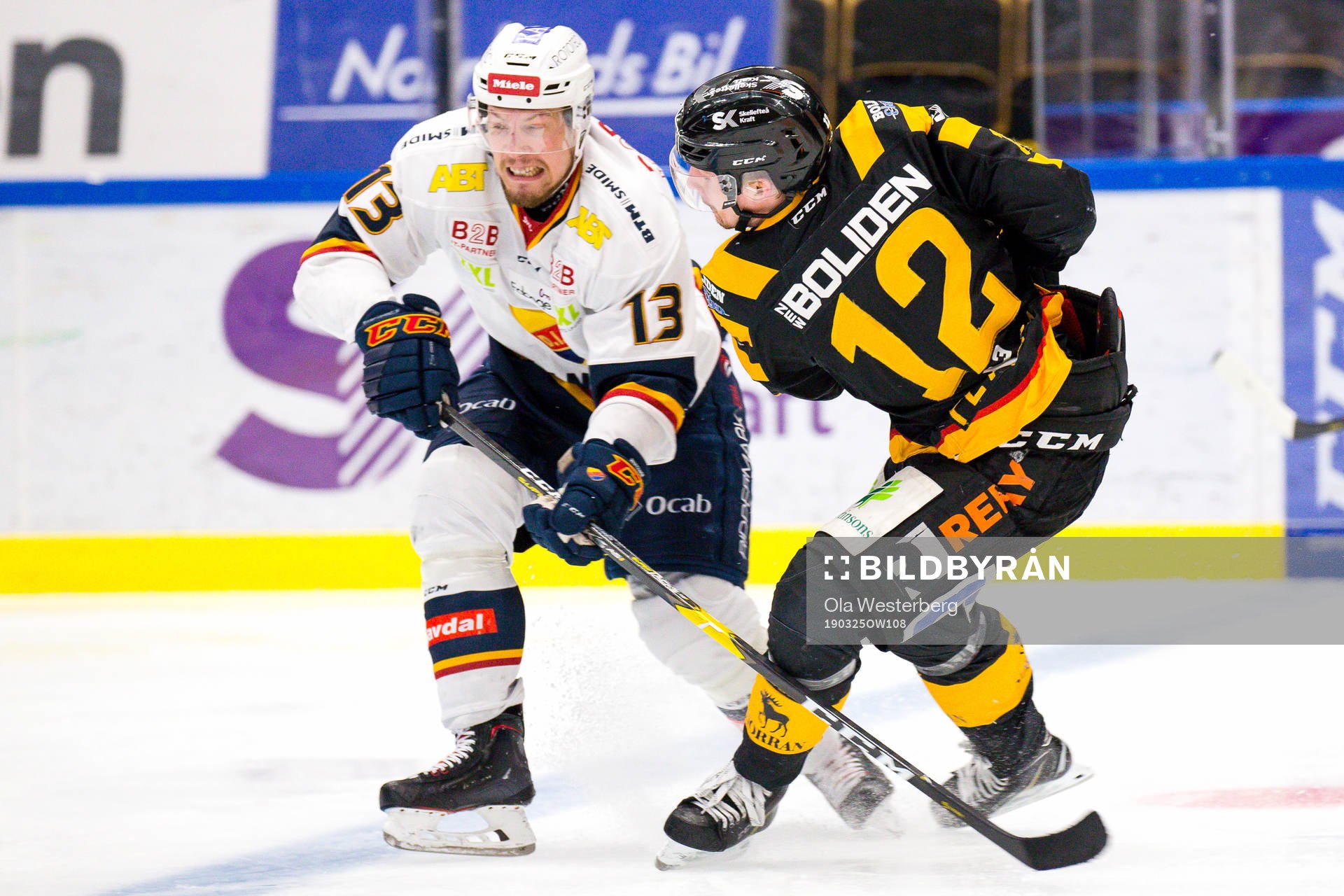 Skellefteås Adam Pettersson