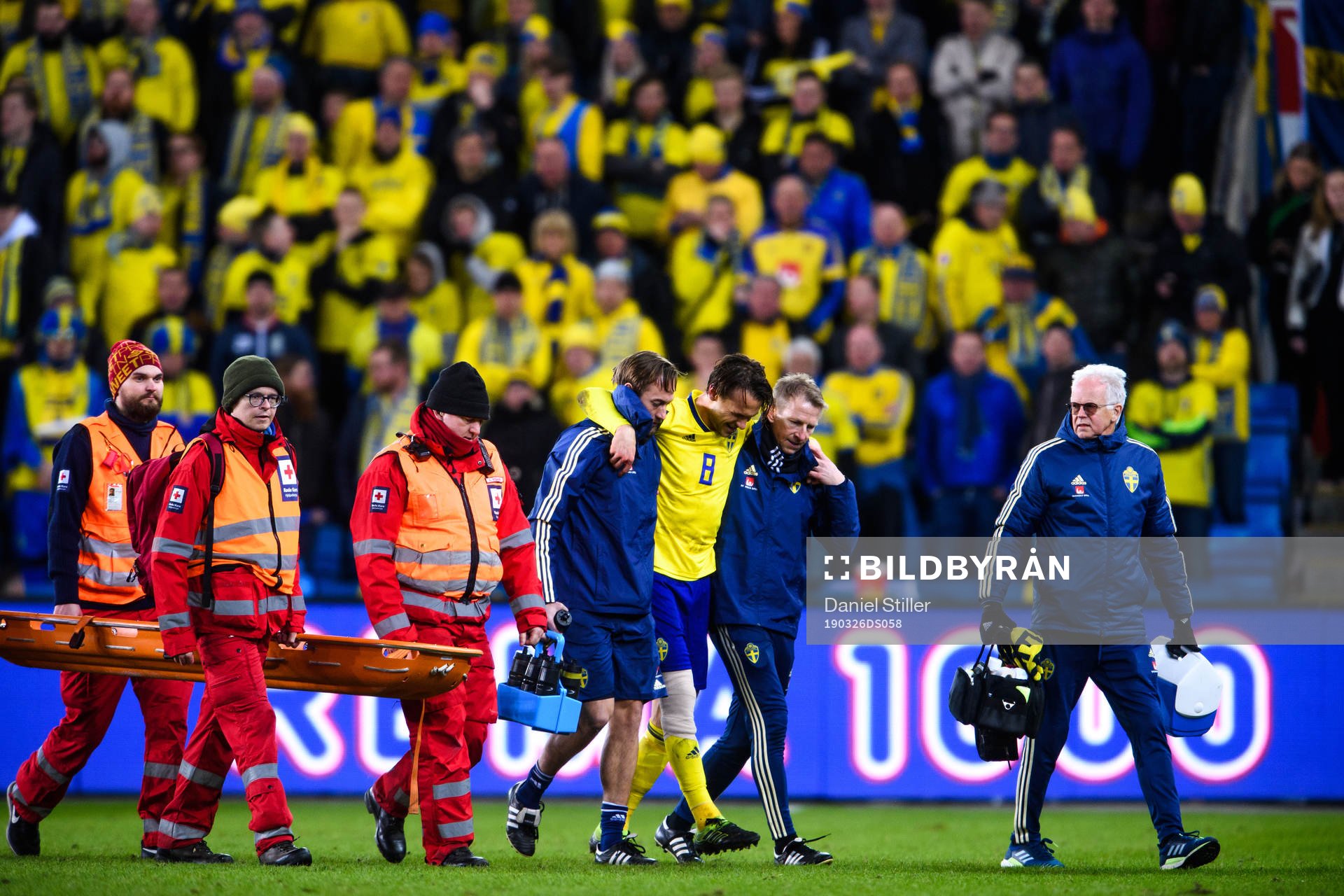 Albin Ekdal of Sweden leaves the pitch