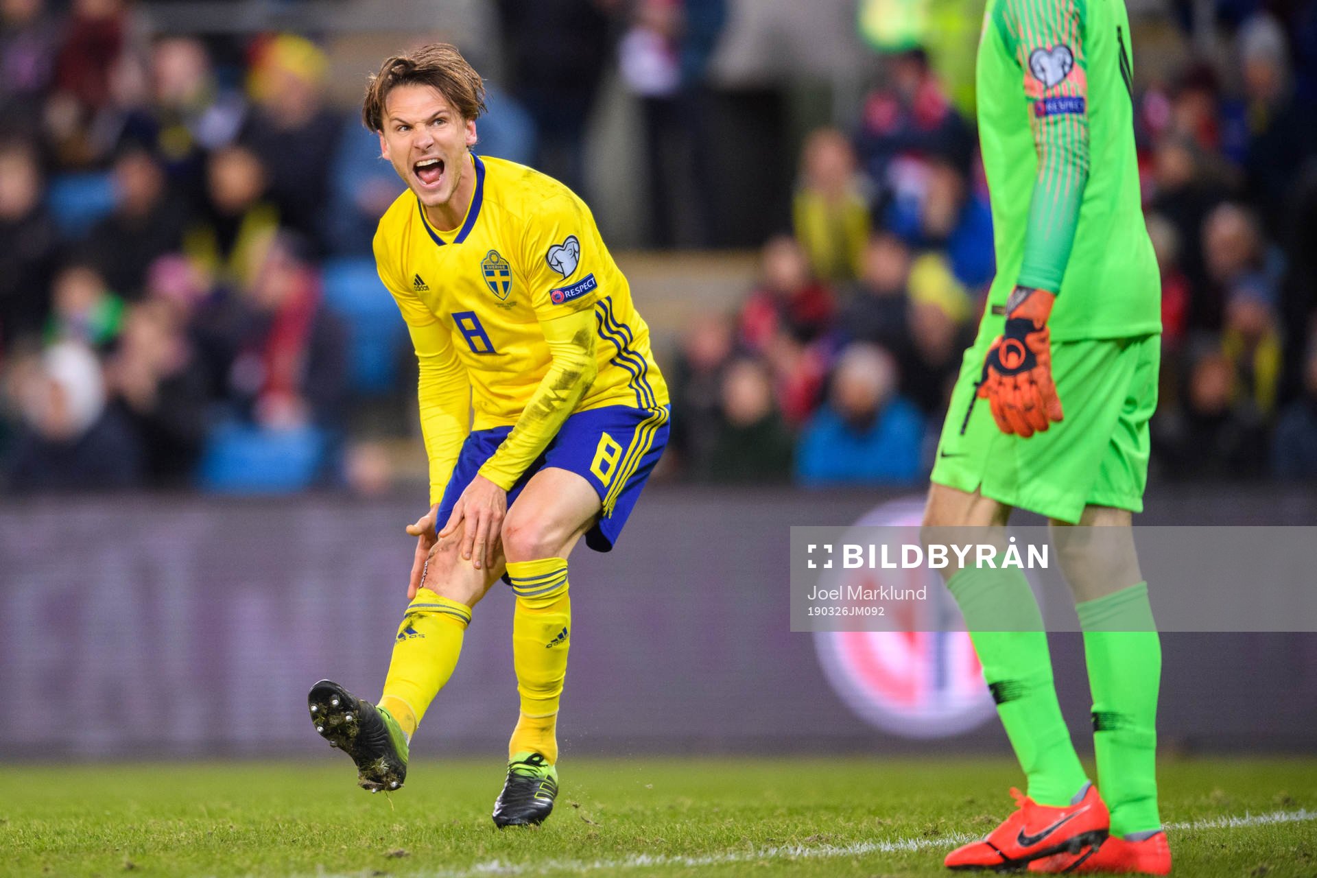 Albin Ekdal of Sweden in pain