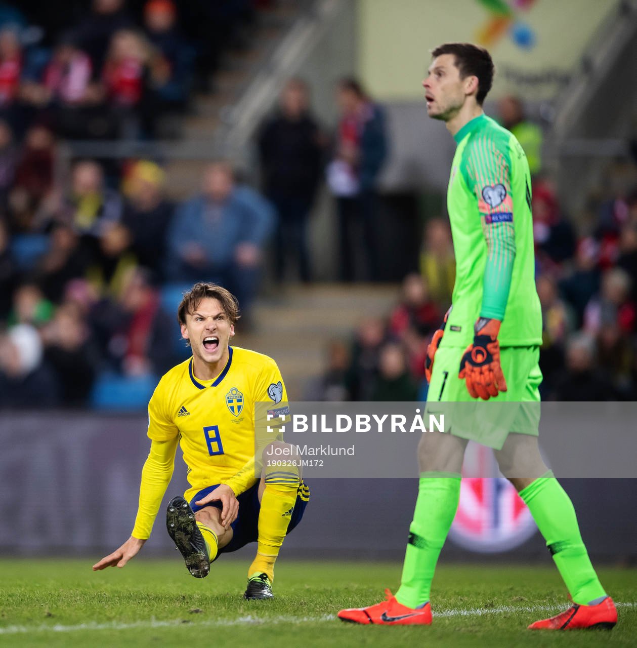 Albin Ekdal of Sweden yells at goalkeeper Rune Almenning