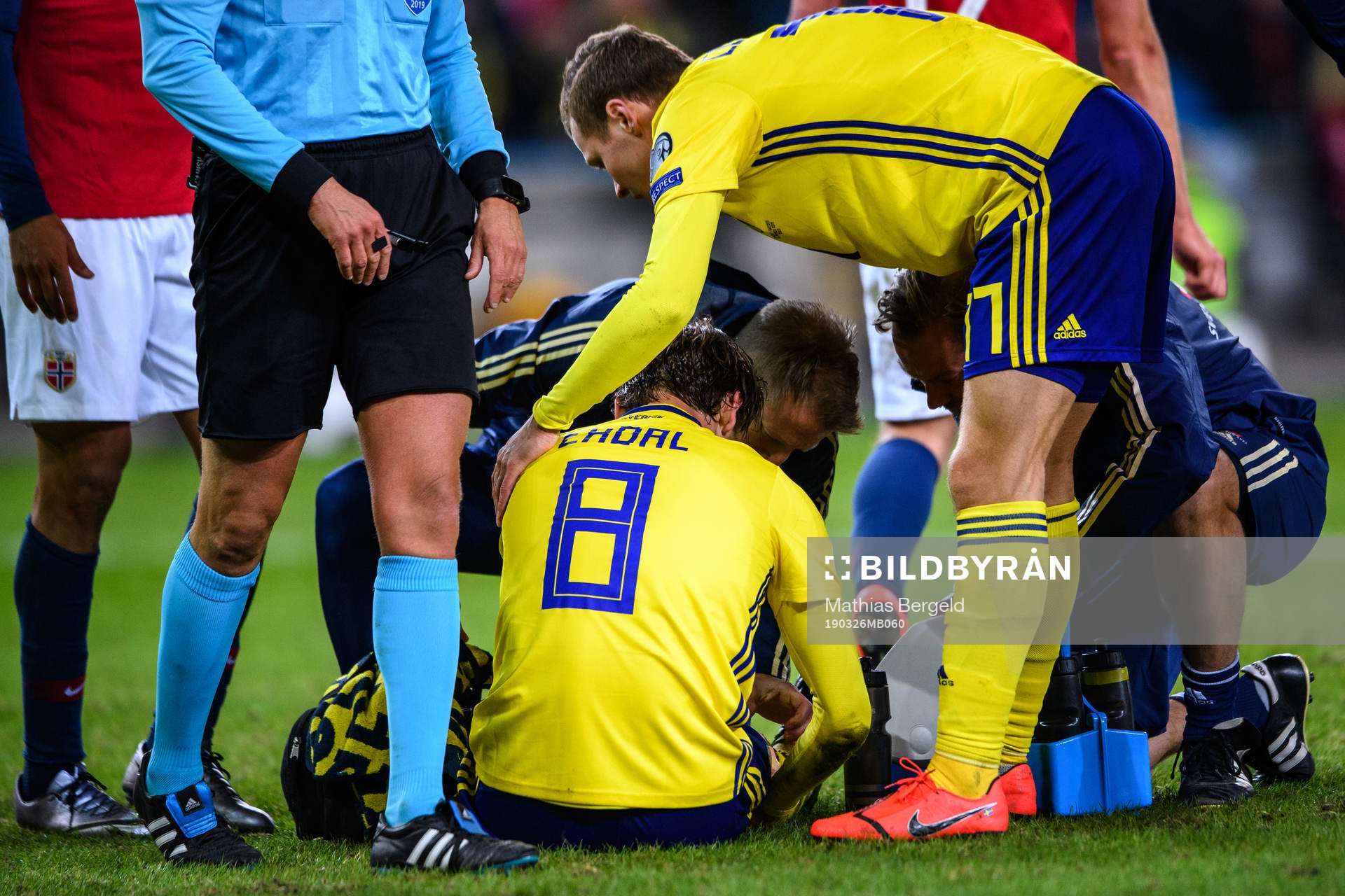 Albin Ekdal  of Sweden in pain