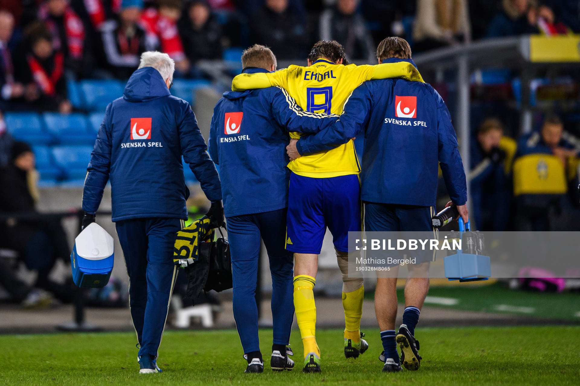 Albin Ekdal of Sweden leaves the pitch