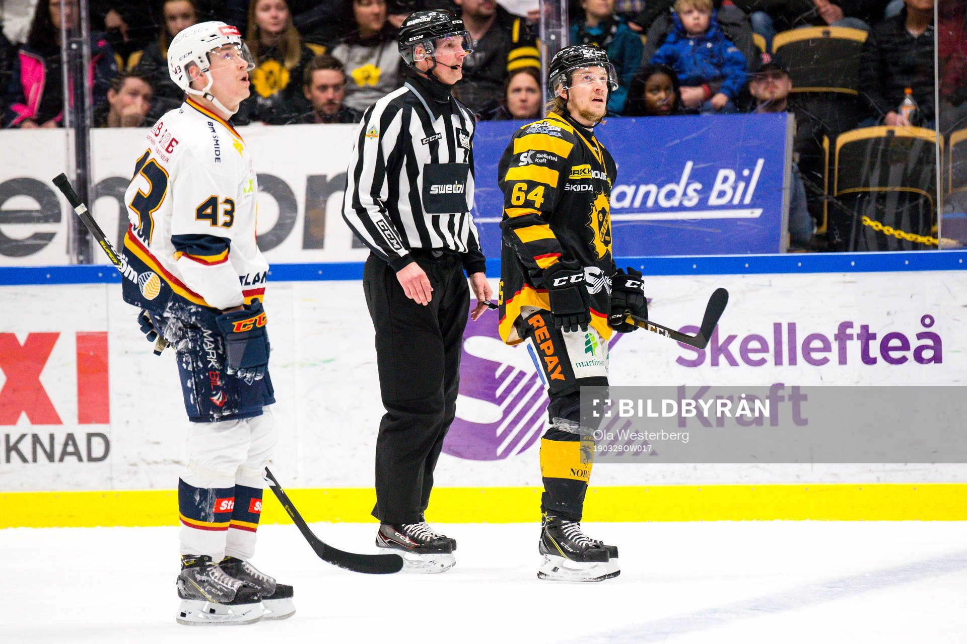 Skellefteås Jonathan Pudas