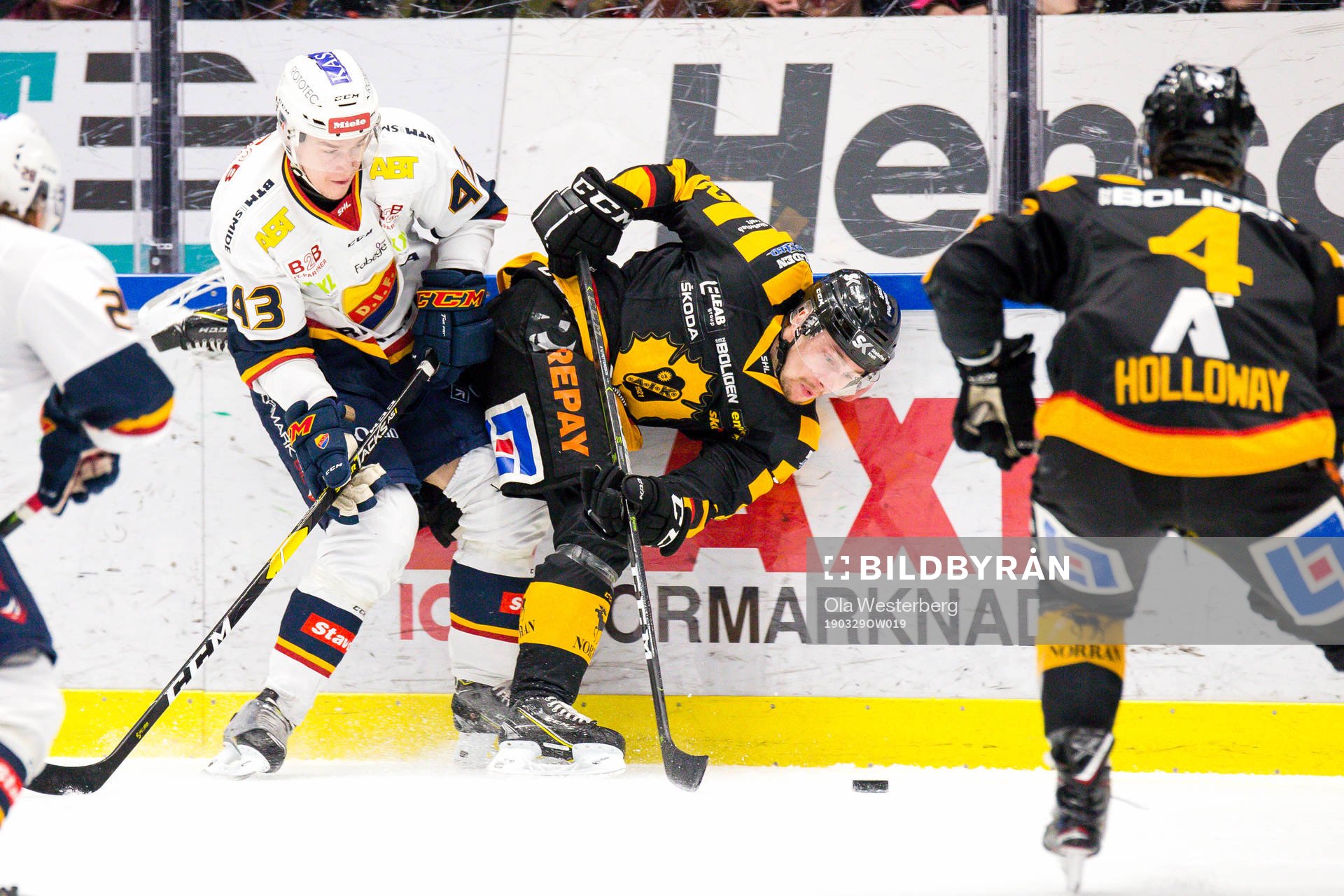 Skellefteås Adam Pettersson