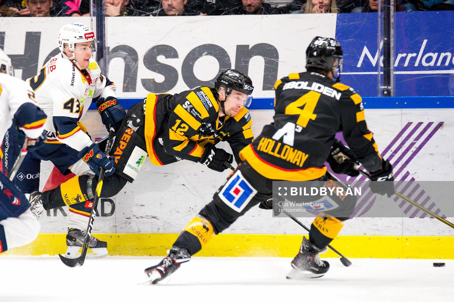 Skellefteås Adam Pettersson