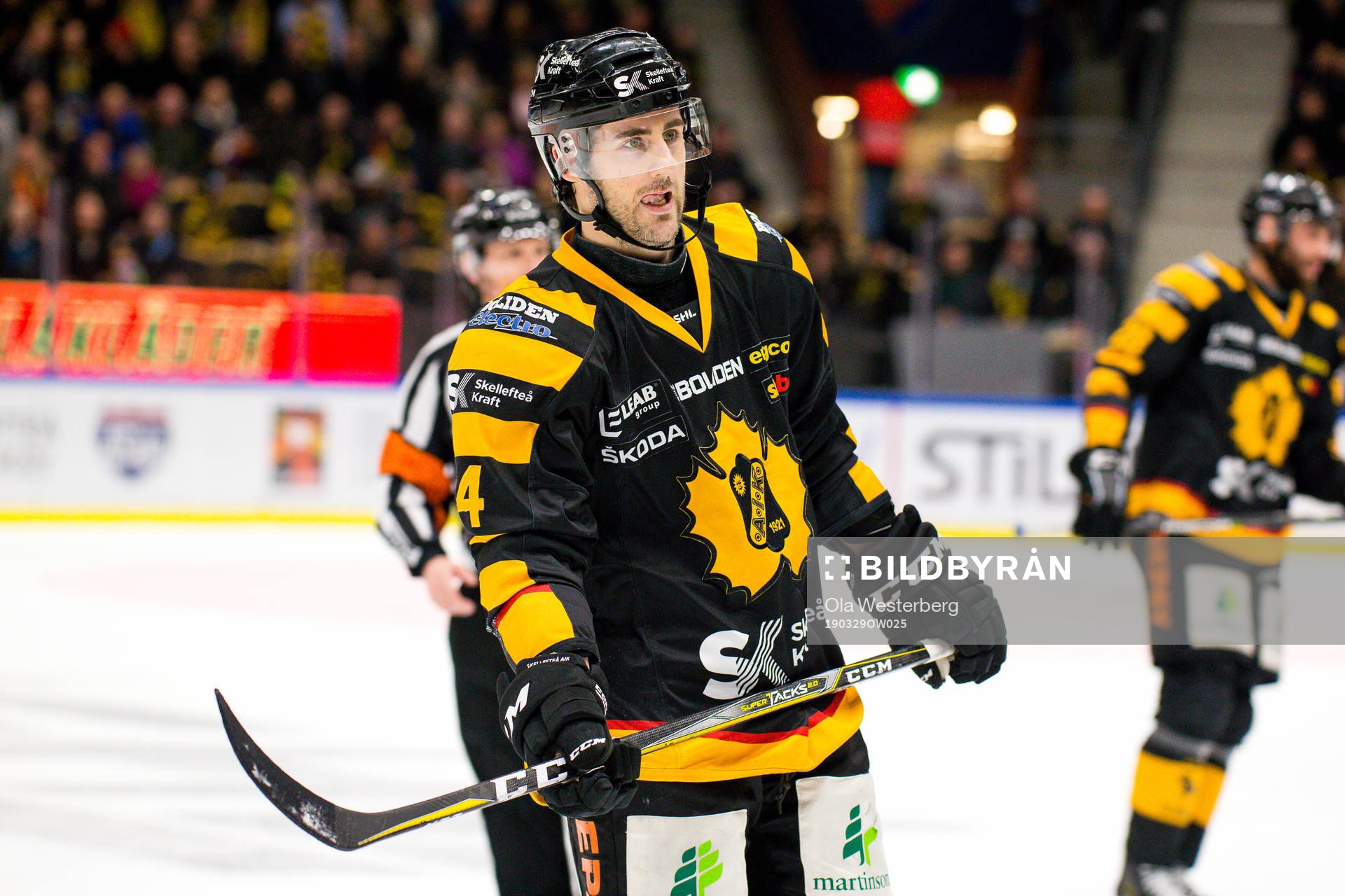 Skellefteås Bud Holloway