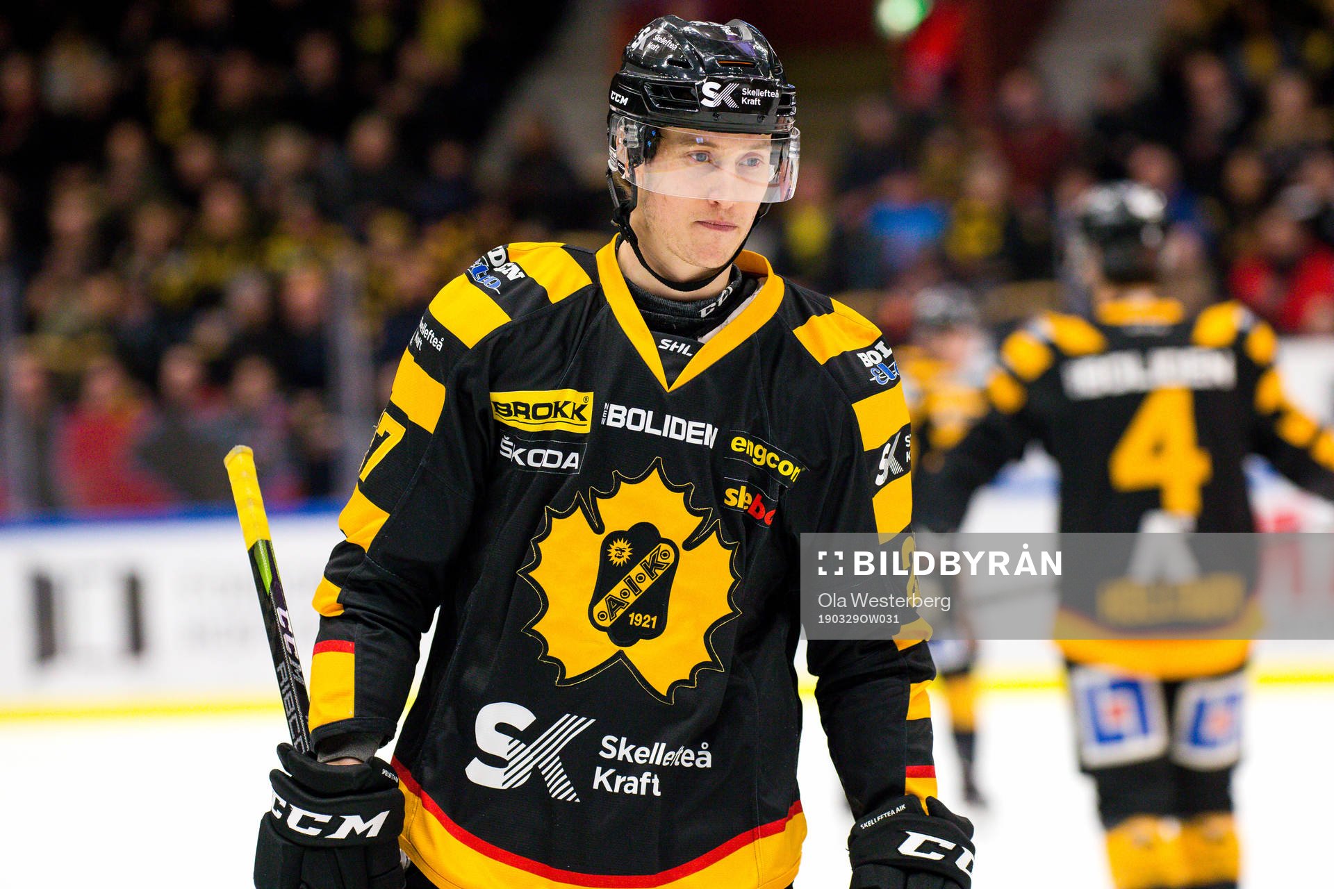 Skellefteås Robin Alvarez