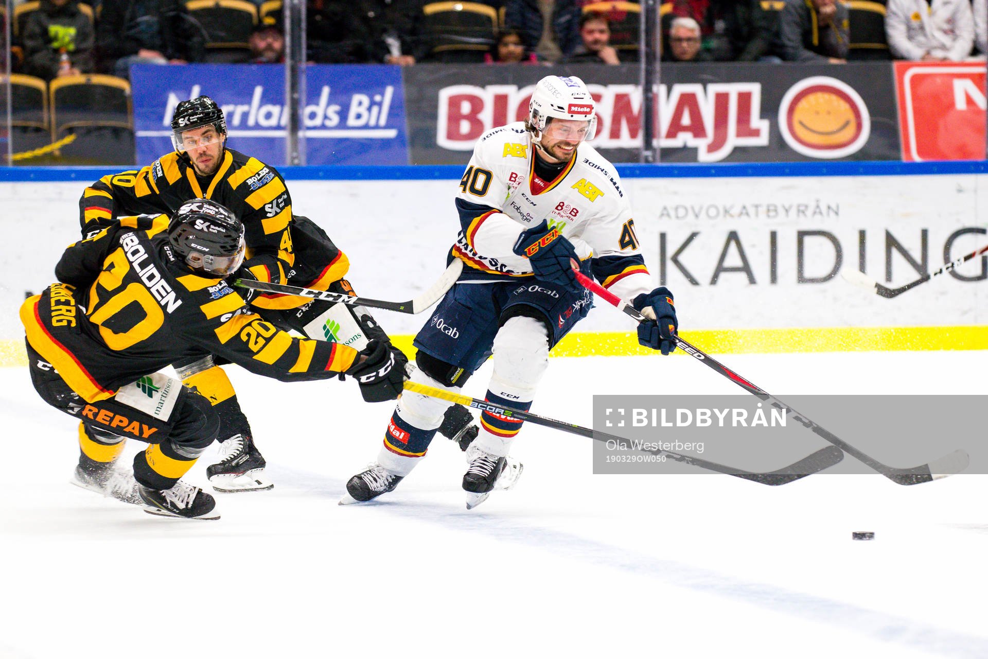 Skellefteås Edwin Hedberg