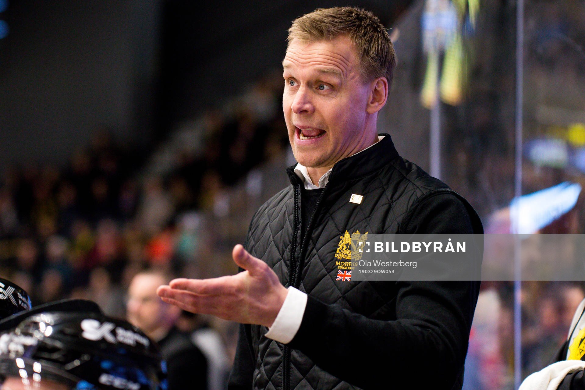 Skellefteås assisterande tränare Bert Robertsson
