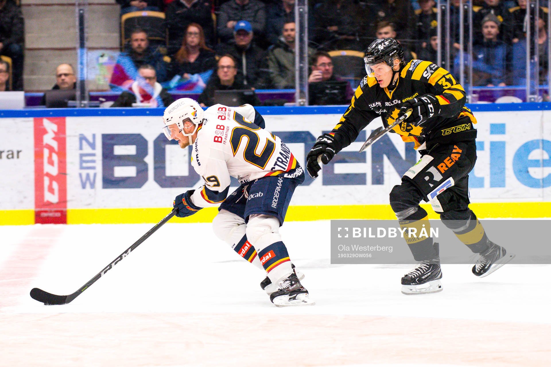 Skellefteås Albin Eriksson