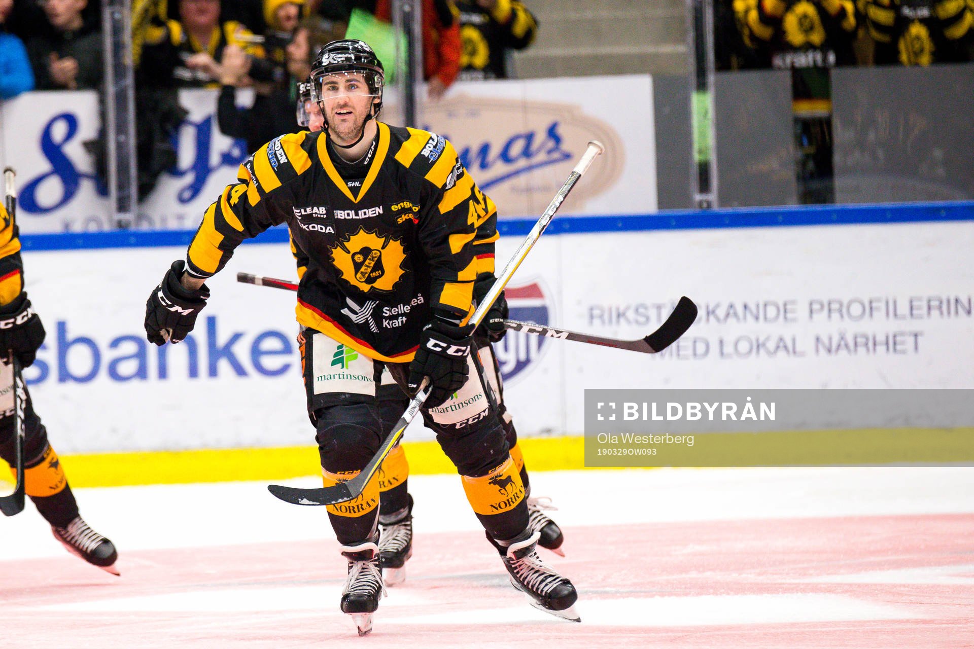 Skellefteås Bud Holloway jublar