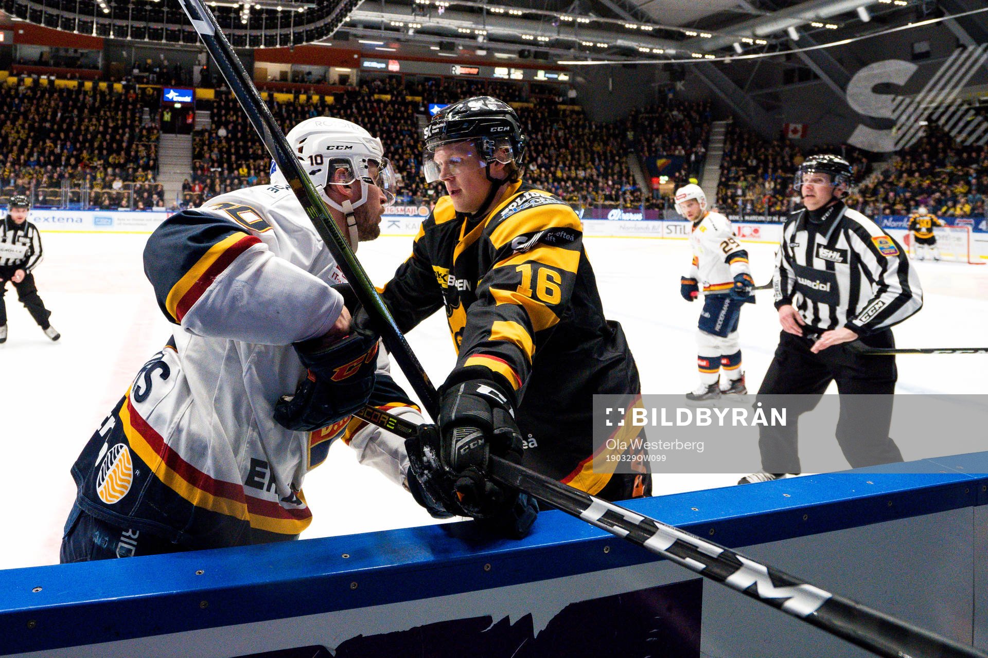 Skellefteås Linus Lindström