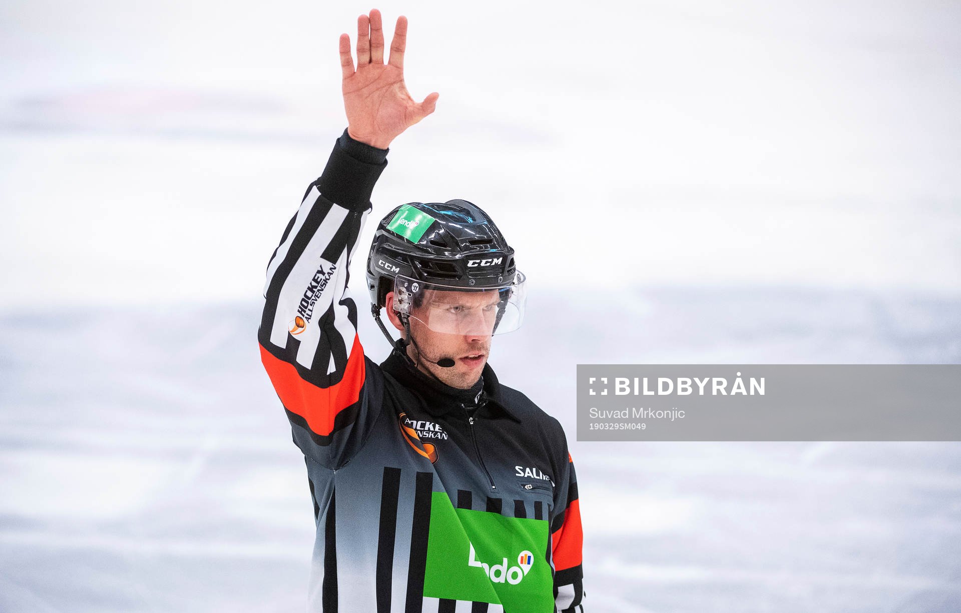 Domare Johan Magnusson