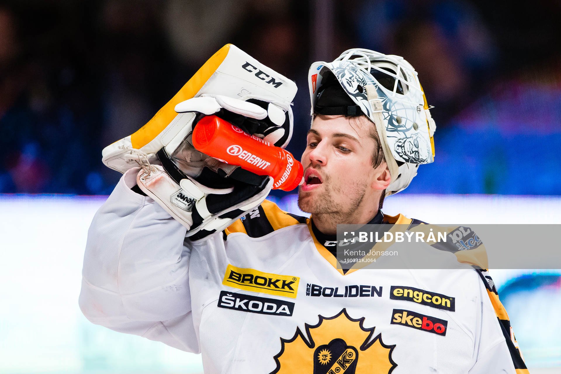 Skellefteås målvakt Mantas Armalis