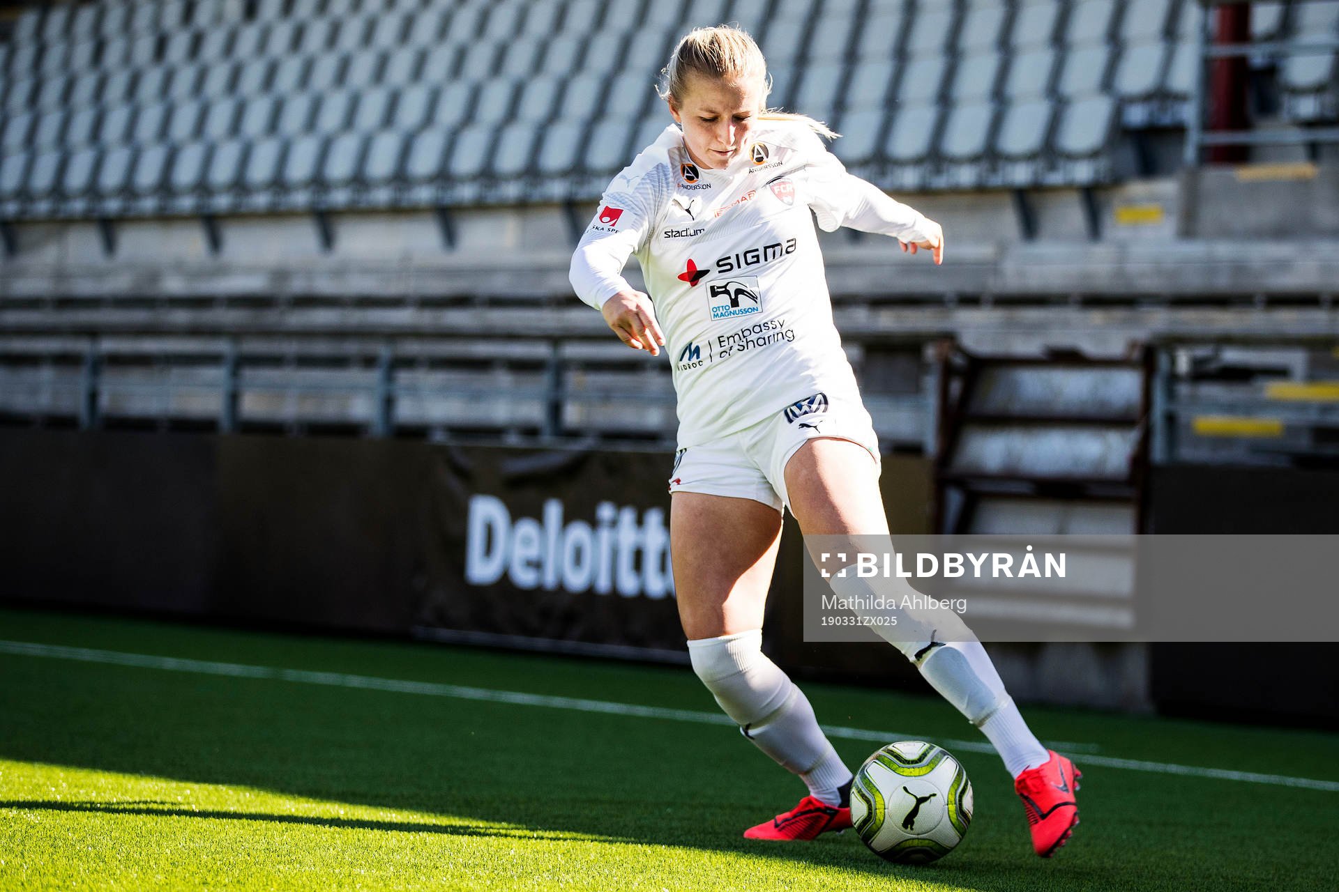 Rosengårds Hailie Mace