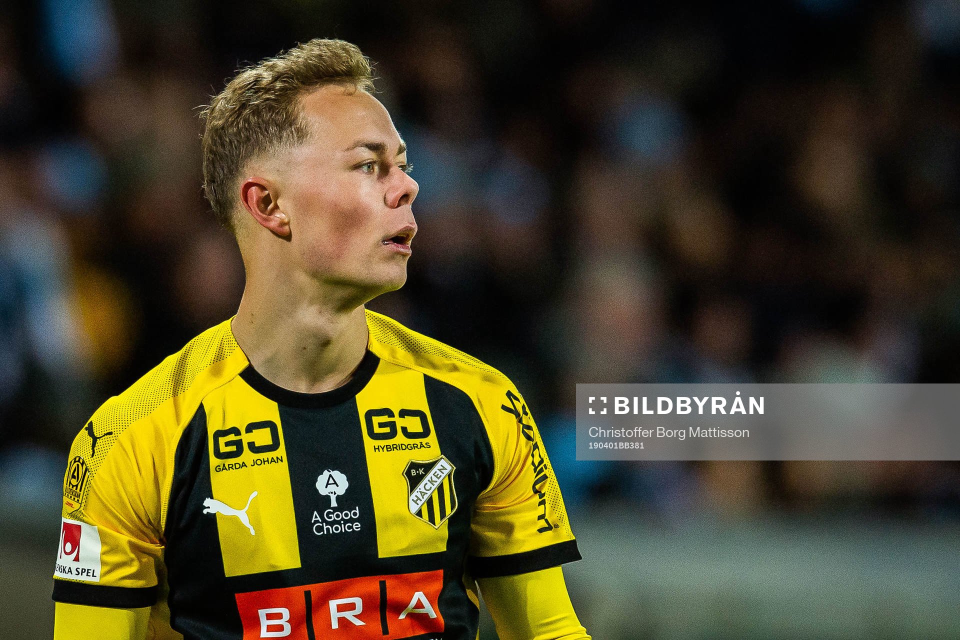 Häckens Adam Andersson deppar