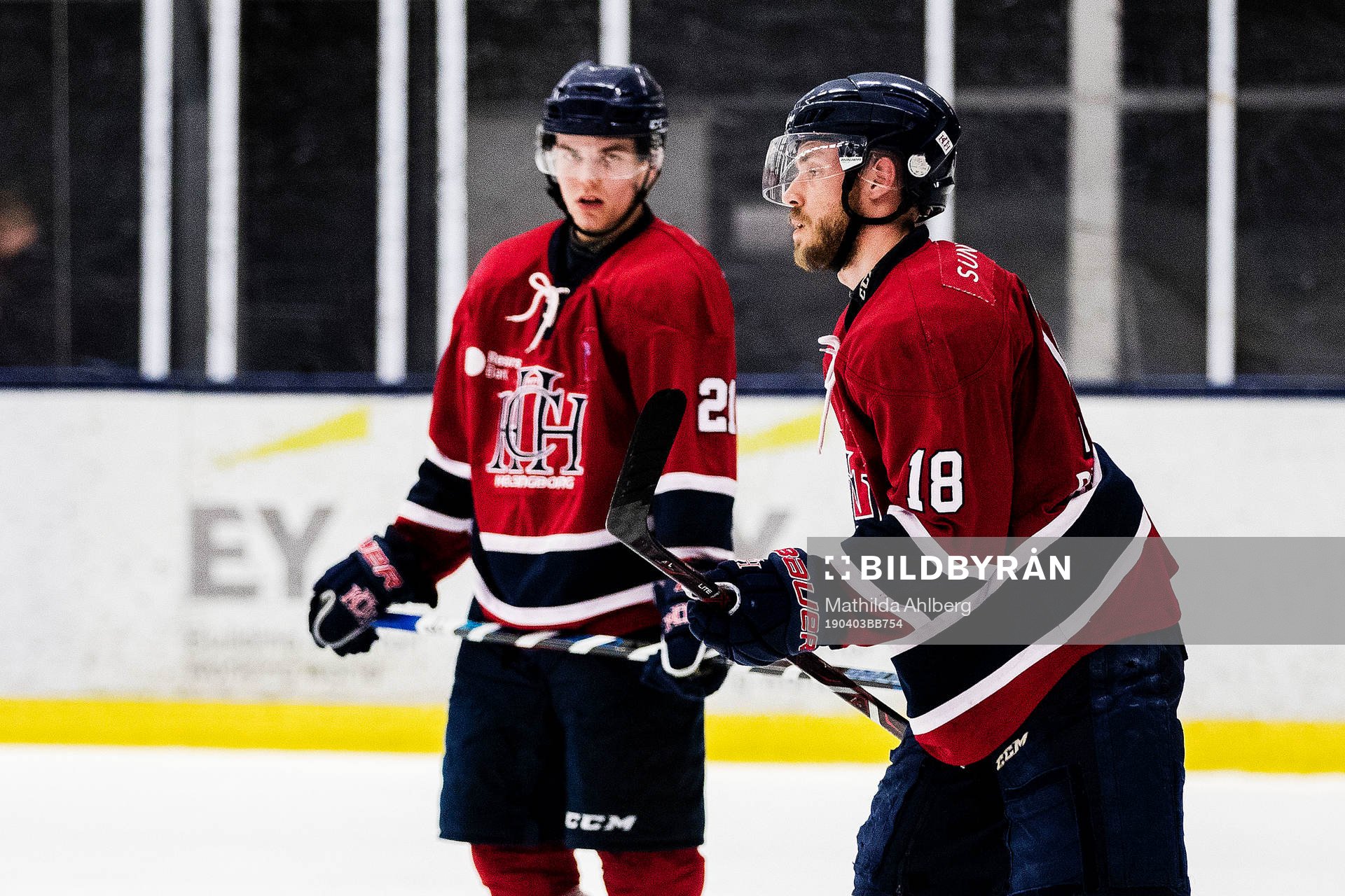 Helsingborgs Ludvig Nilsson och Julius Falkenbäck