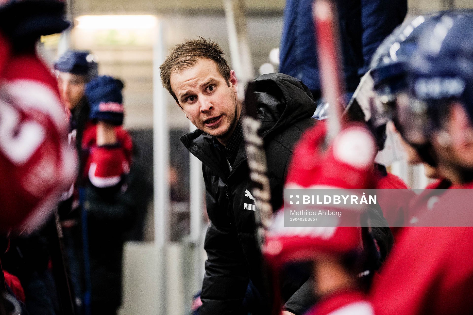 Helsingborgs tränare Peter Hall