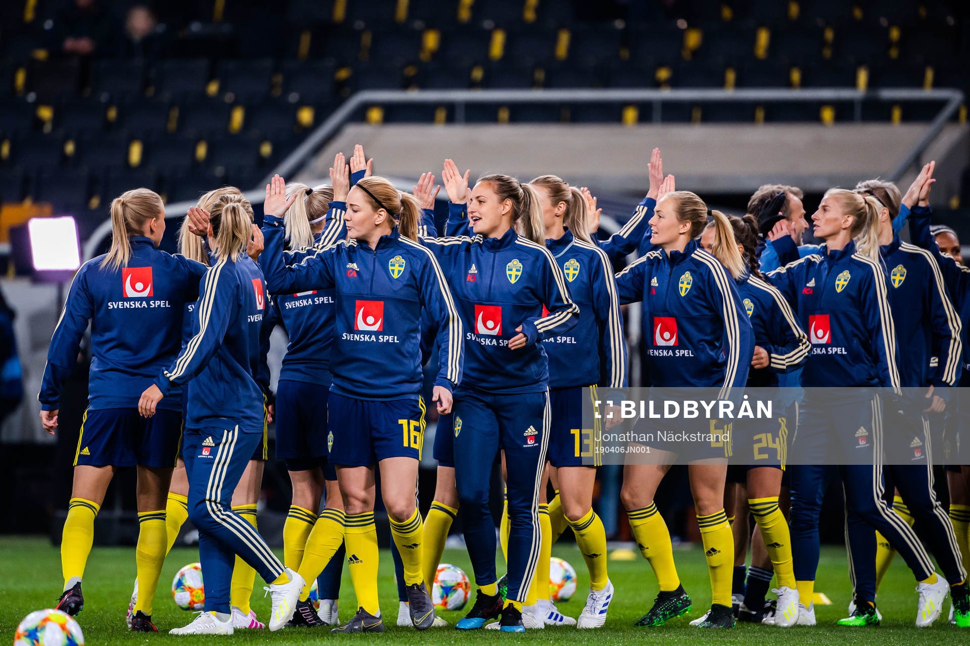 Players of Sweden