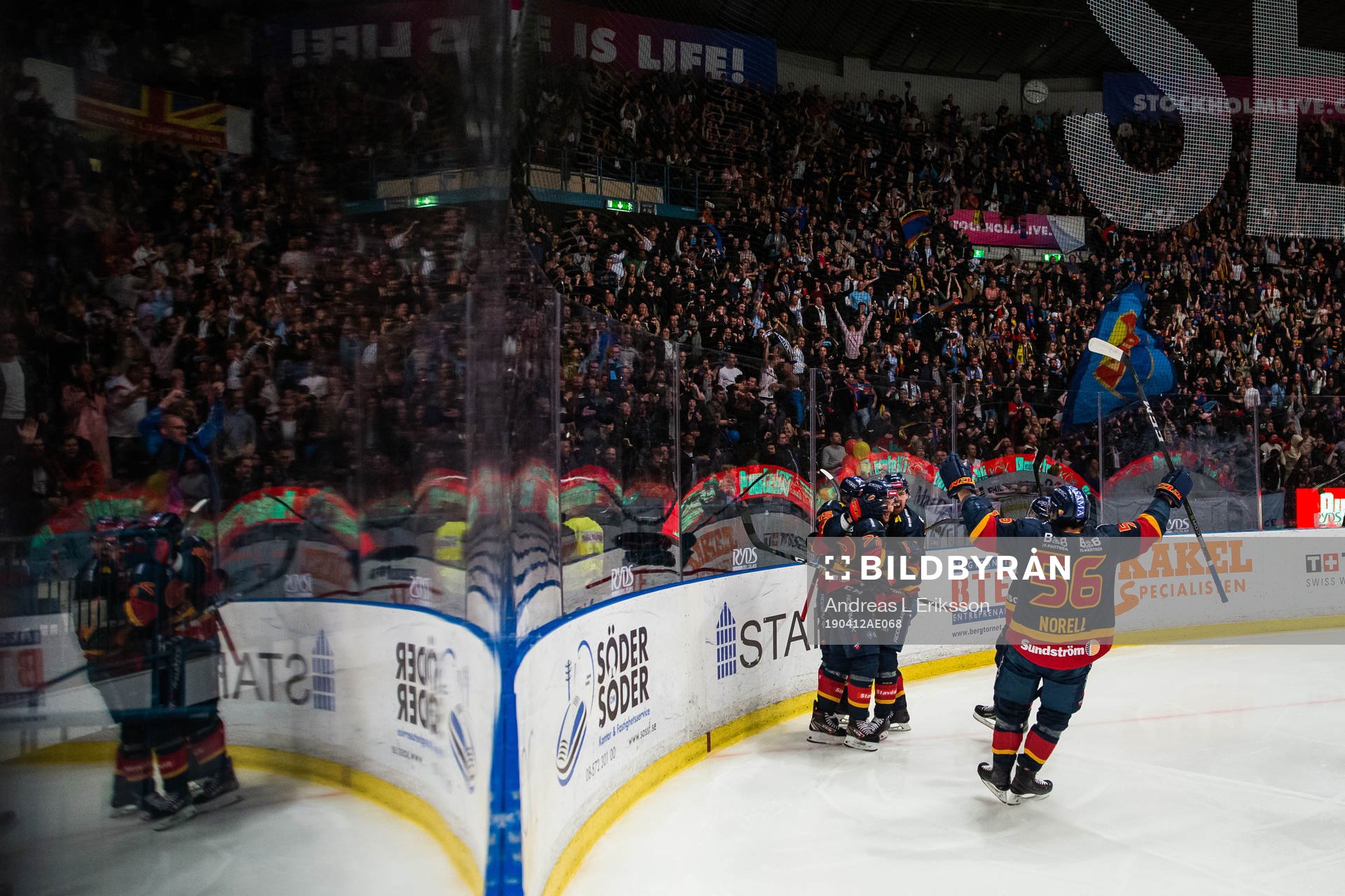 Djurgårdens Daniel Brodin (ej i bild) jublar