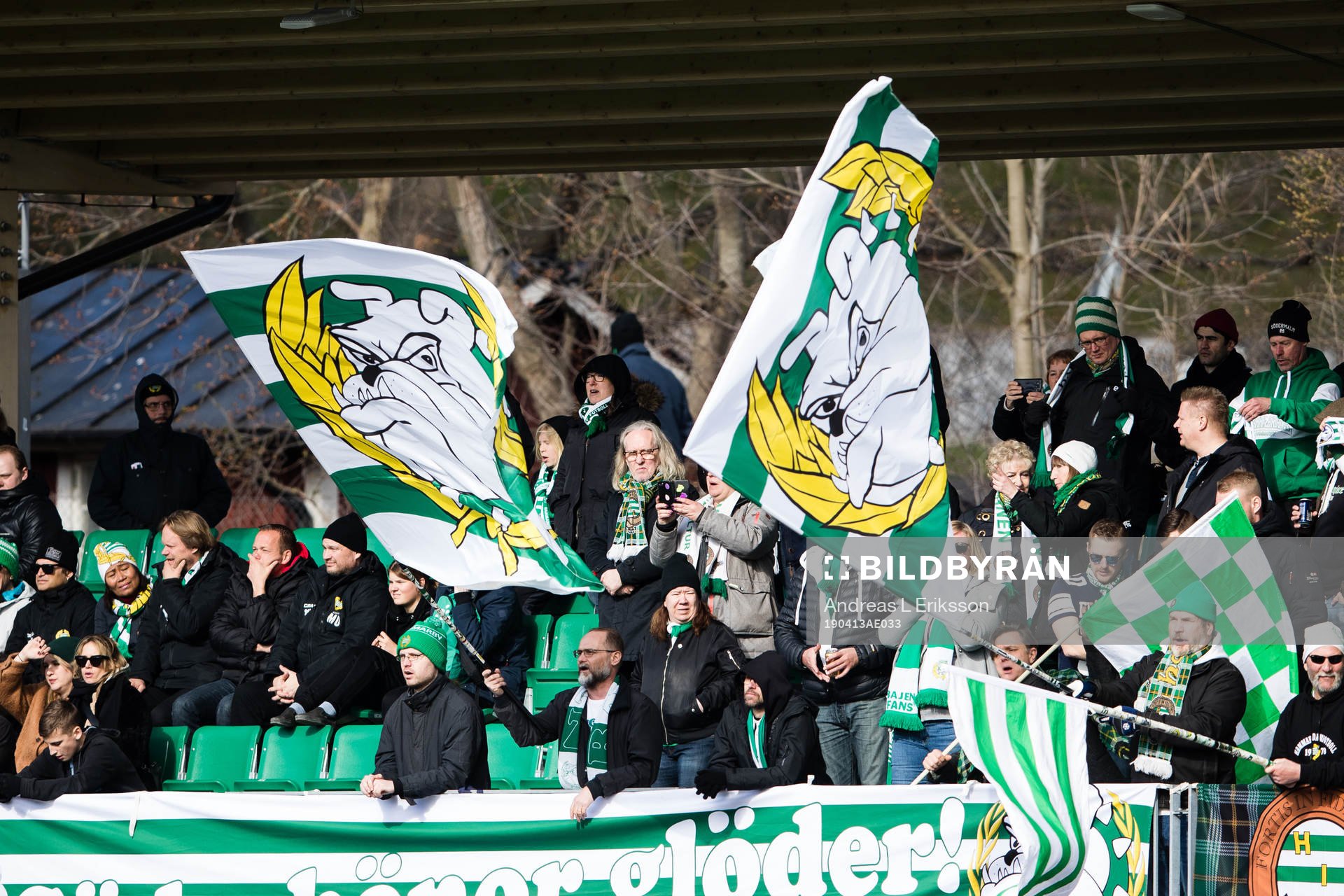 Supportrar till Hammarby
