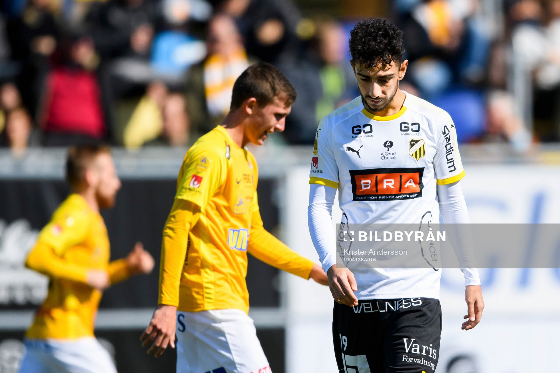 Häckens Daleho Irandust deppar