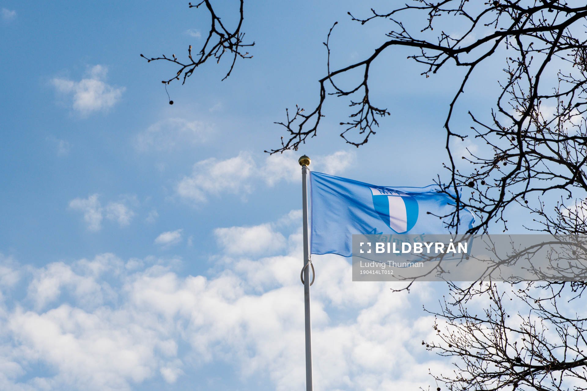 En Malmö FF flagga