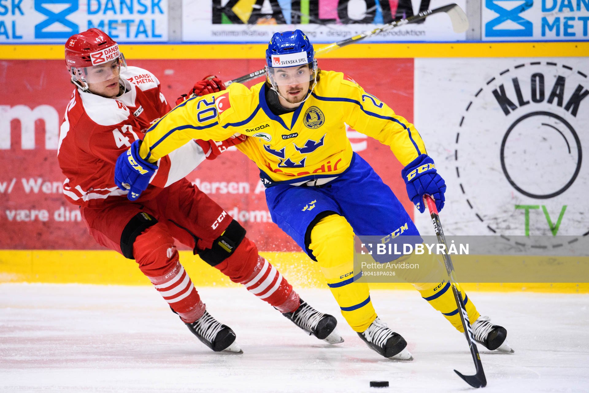 Oliver Larsen of Denmark and Adam Brodecki of Sweden